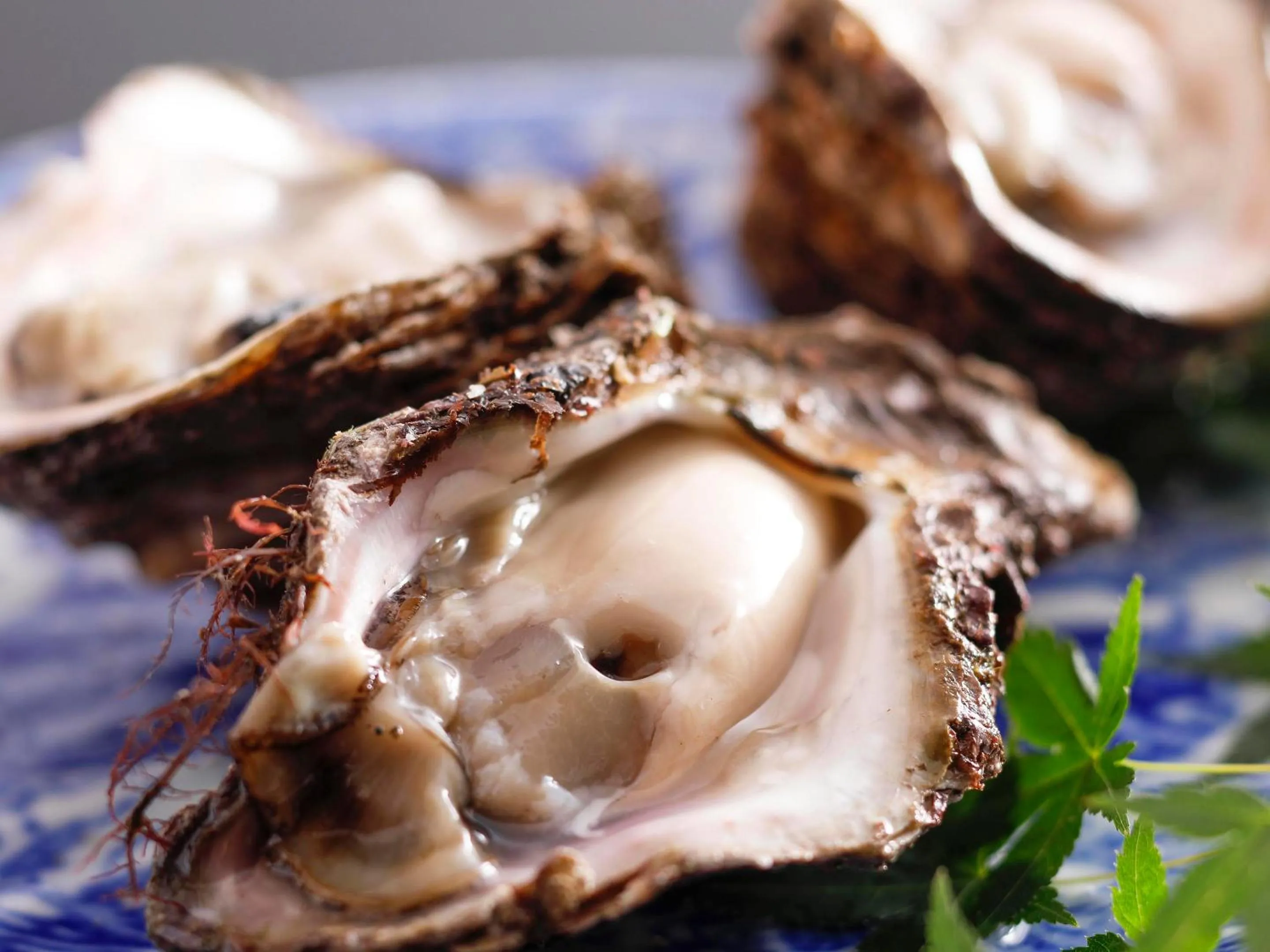 Dinner in Seikiro Ryokan Historical Museum Hotel