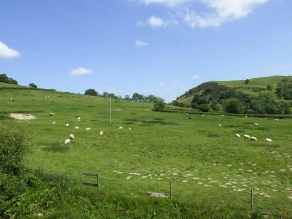 Cwmgilla Farm