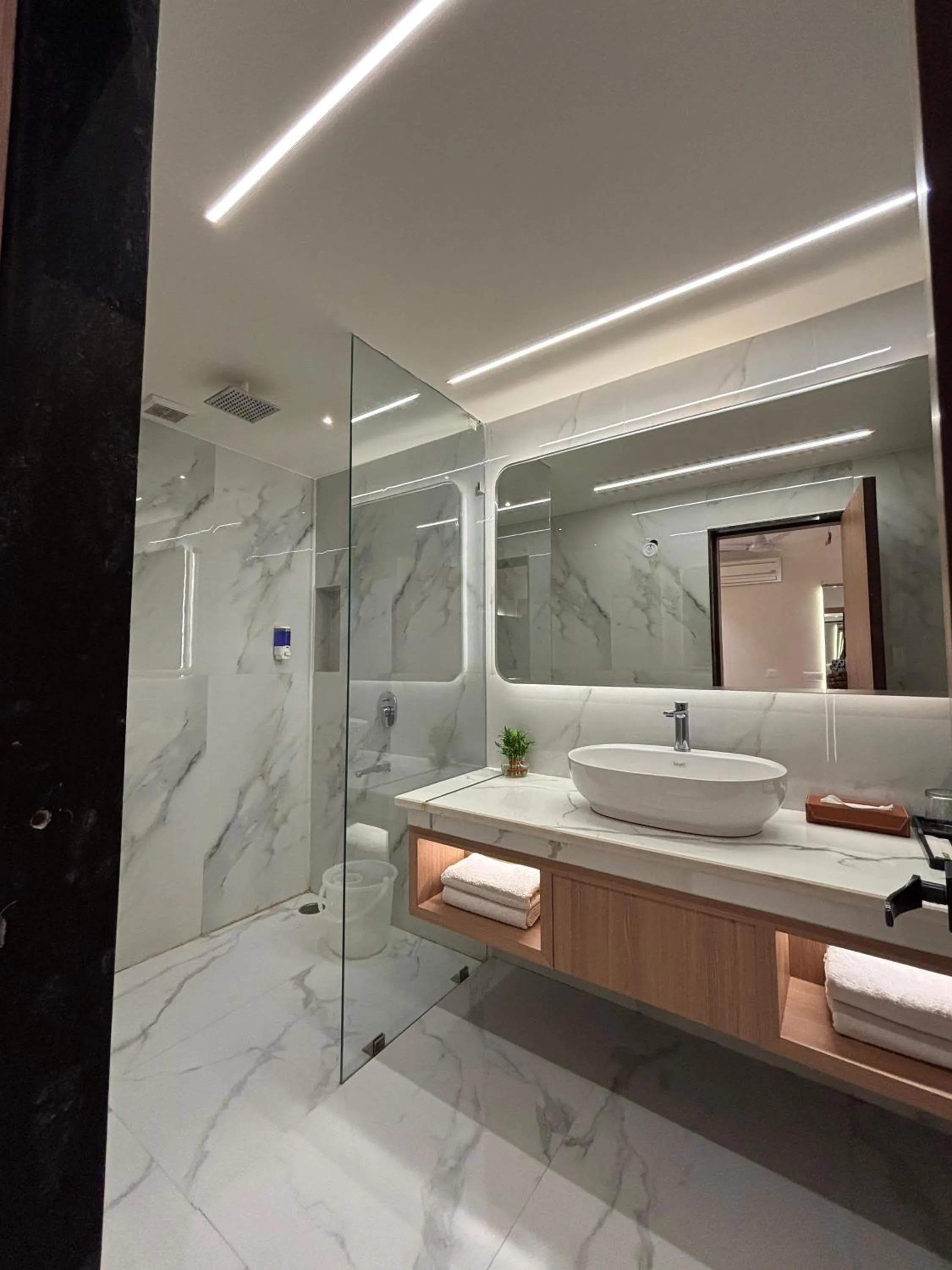 Shower in Taj Inn Hotel