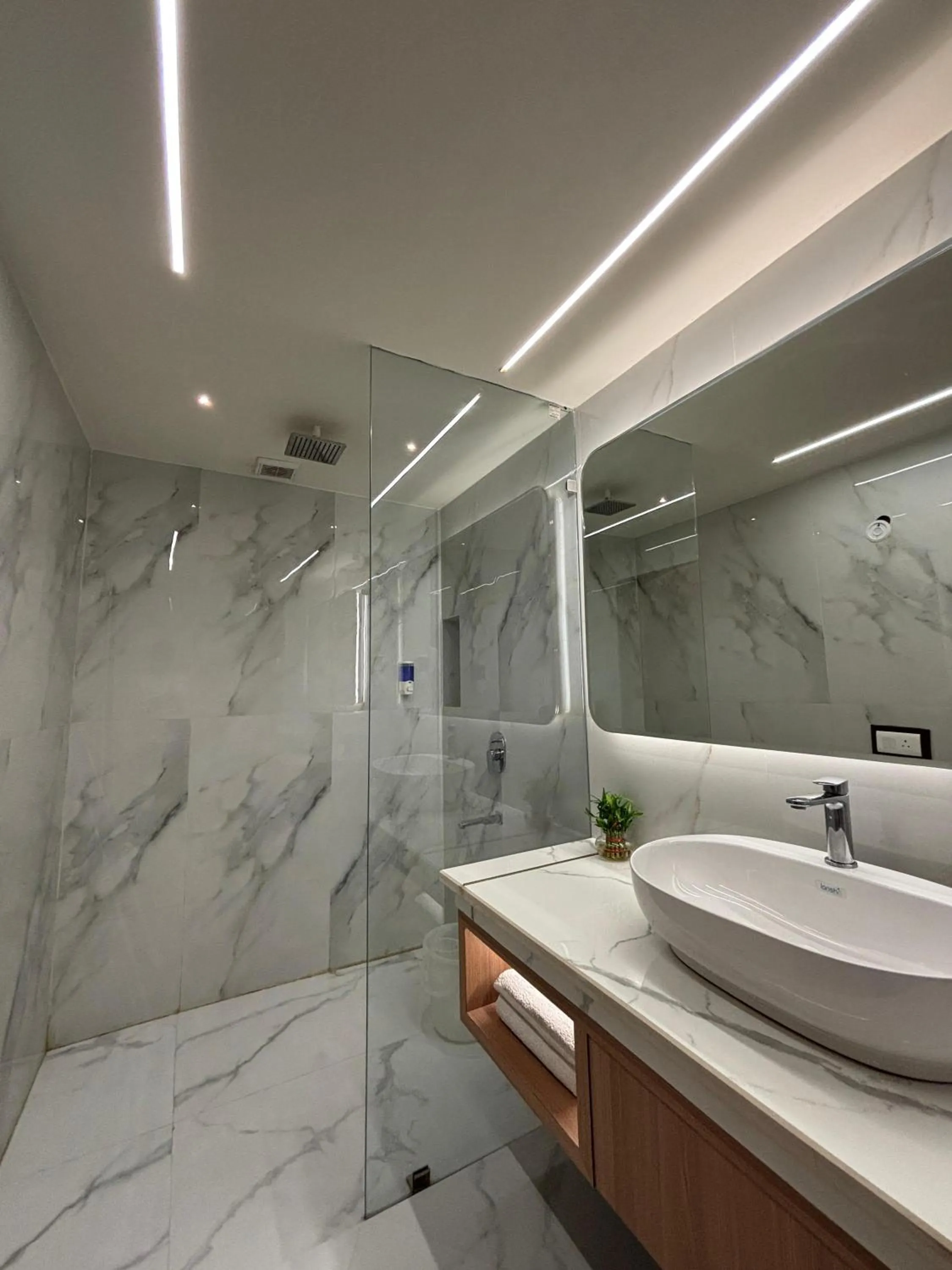 Shower in Taj Inn Hotel