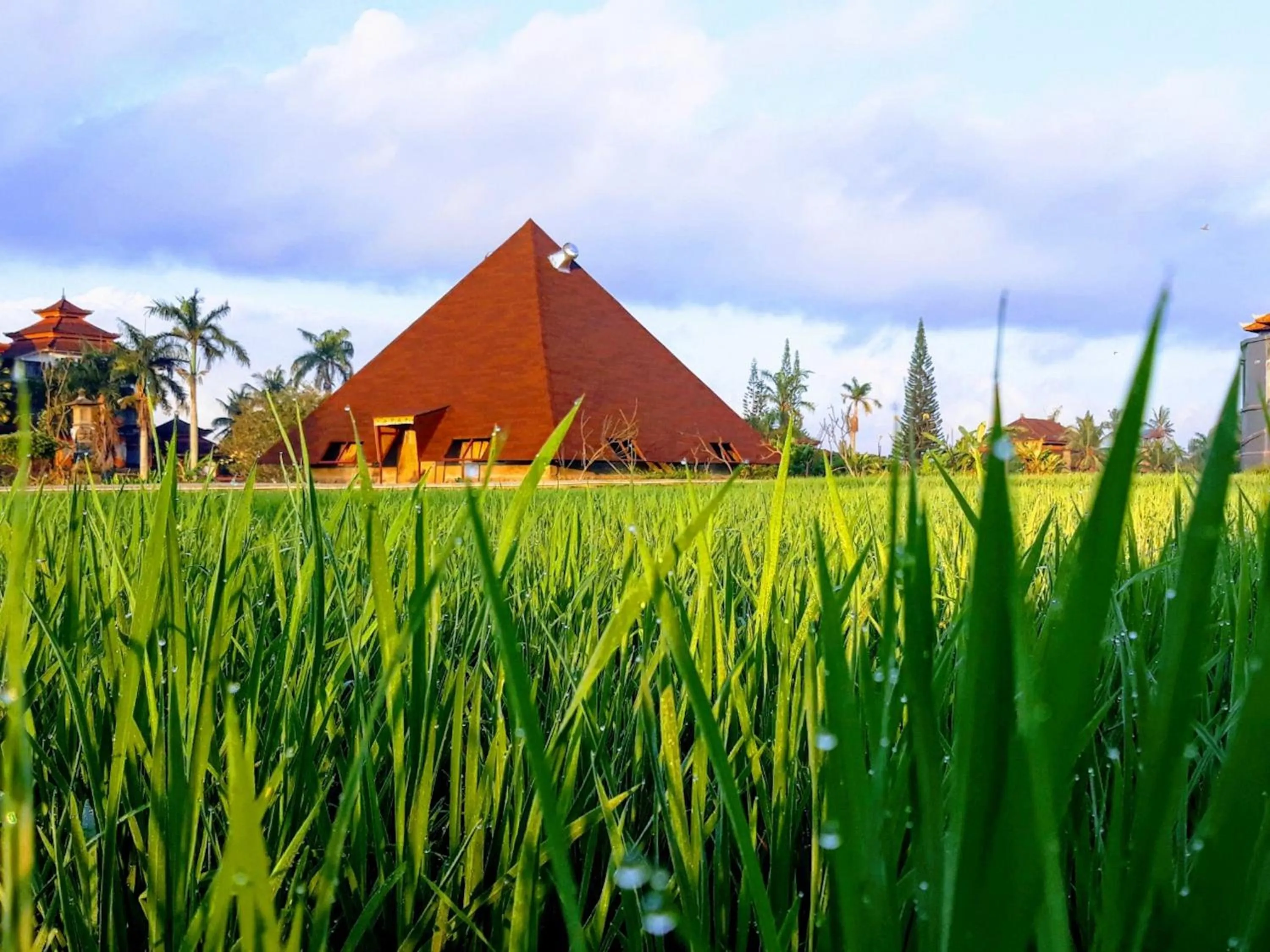 Other in Suly Vegetarian Resort & Spa