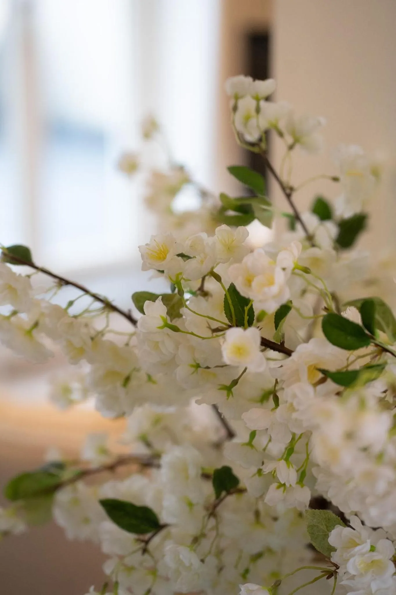 Bliss Boutique Hotel