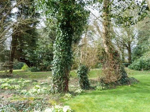 Standard Hill Cottage