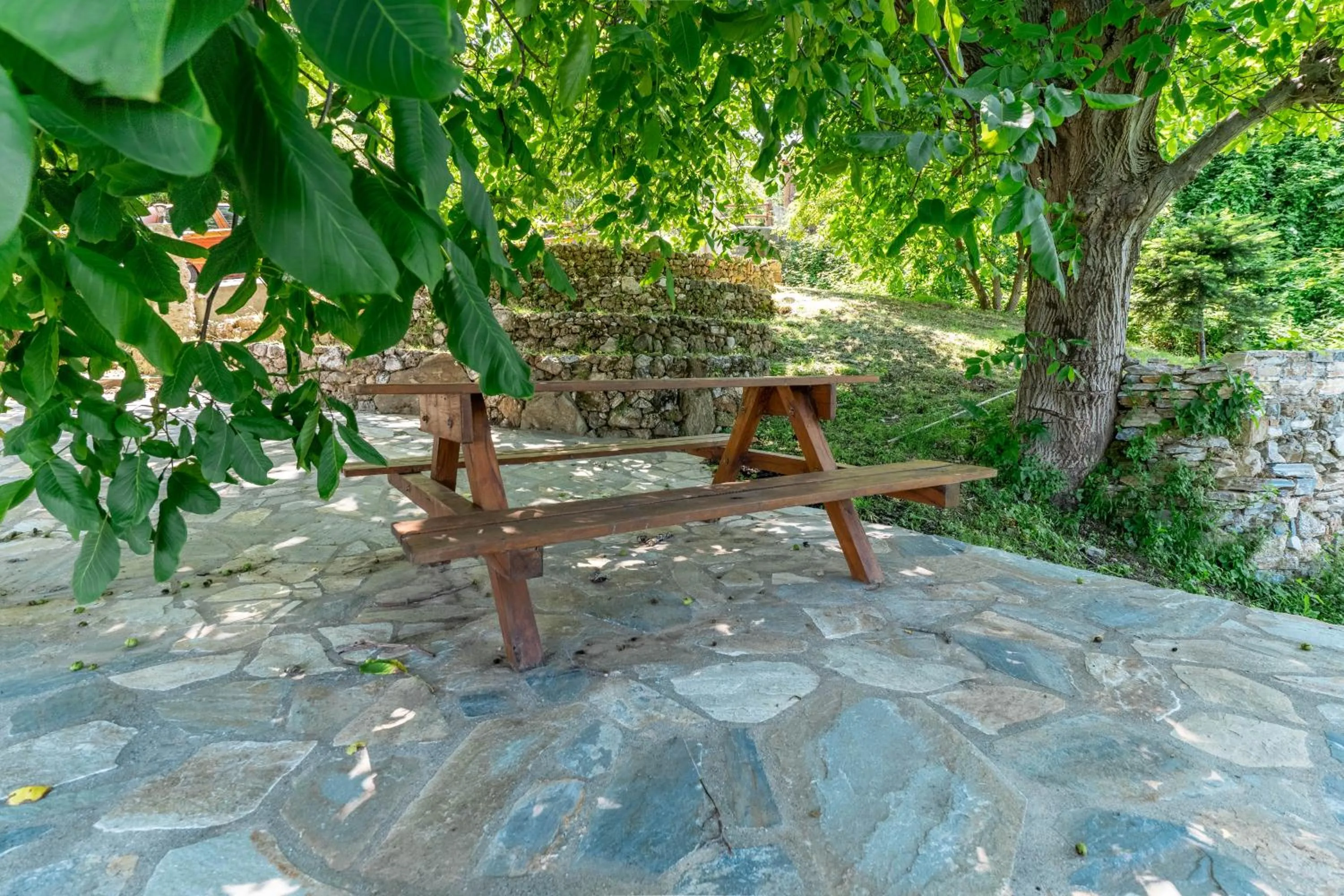 Garden in Guesthouse Iris