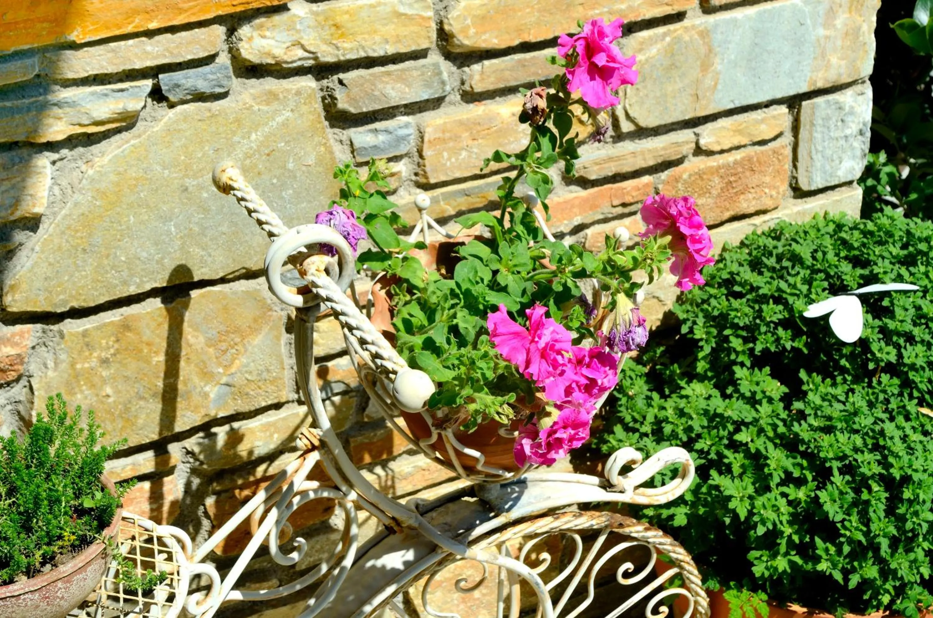 Spring in Guesthouse Iris