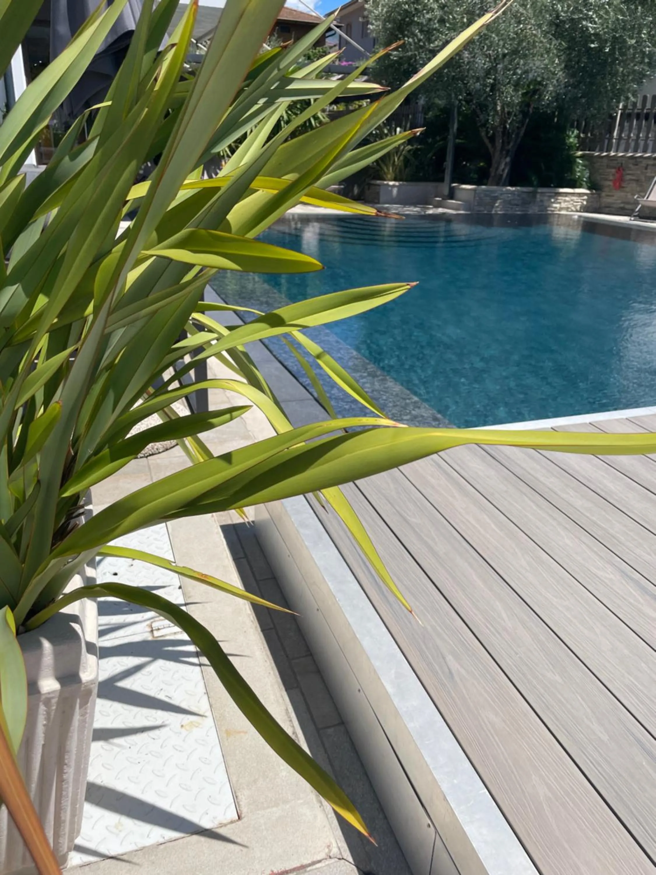 Swimming pool in Hotel Virgilio