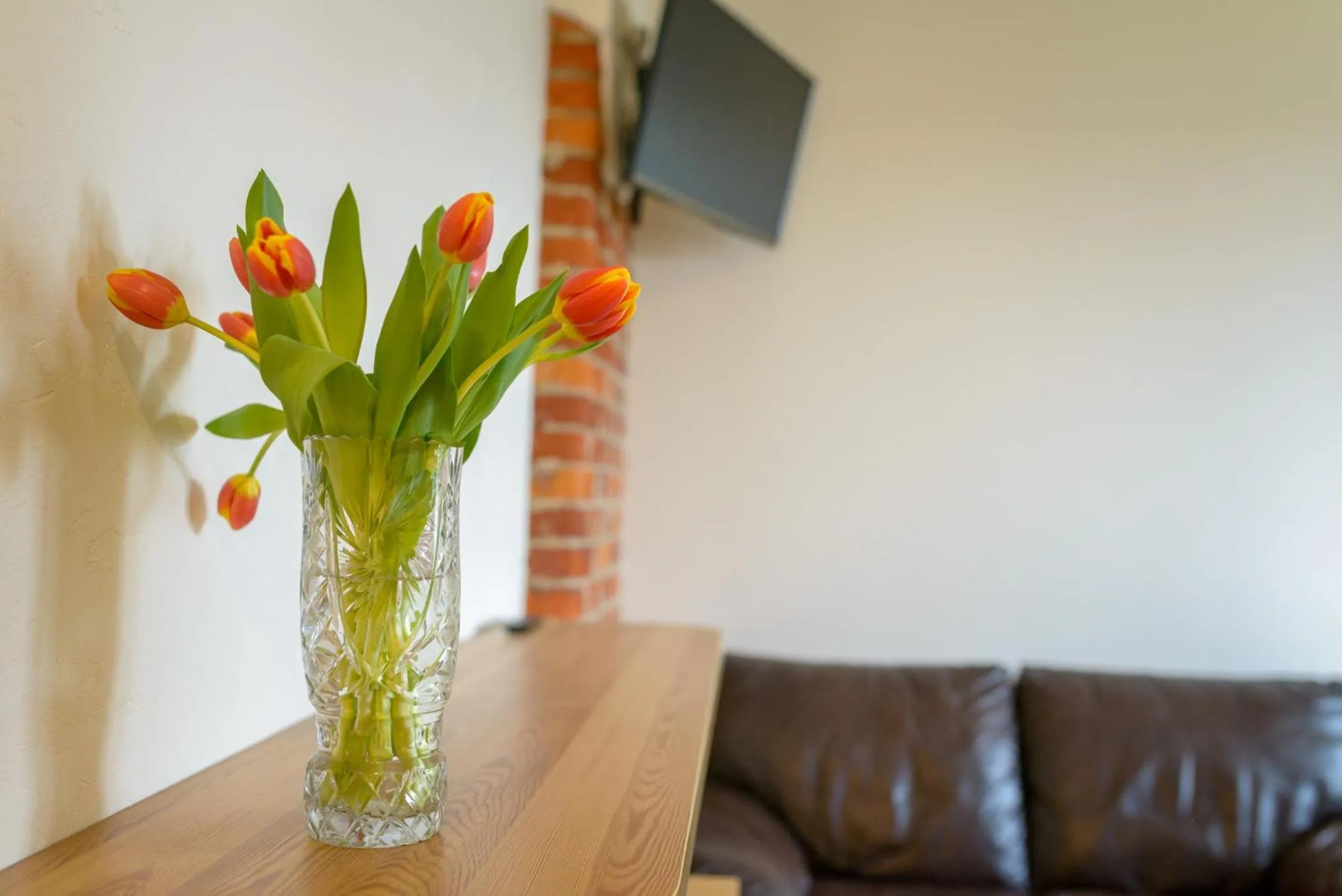 Communal lounge/ TV room in Klaipeda Hostel