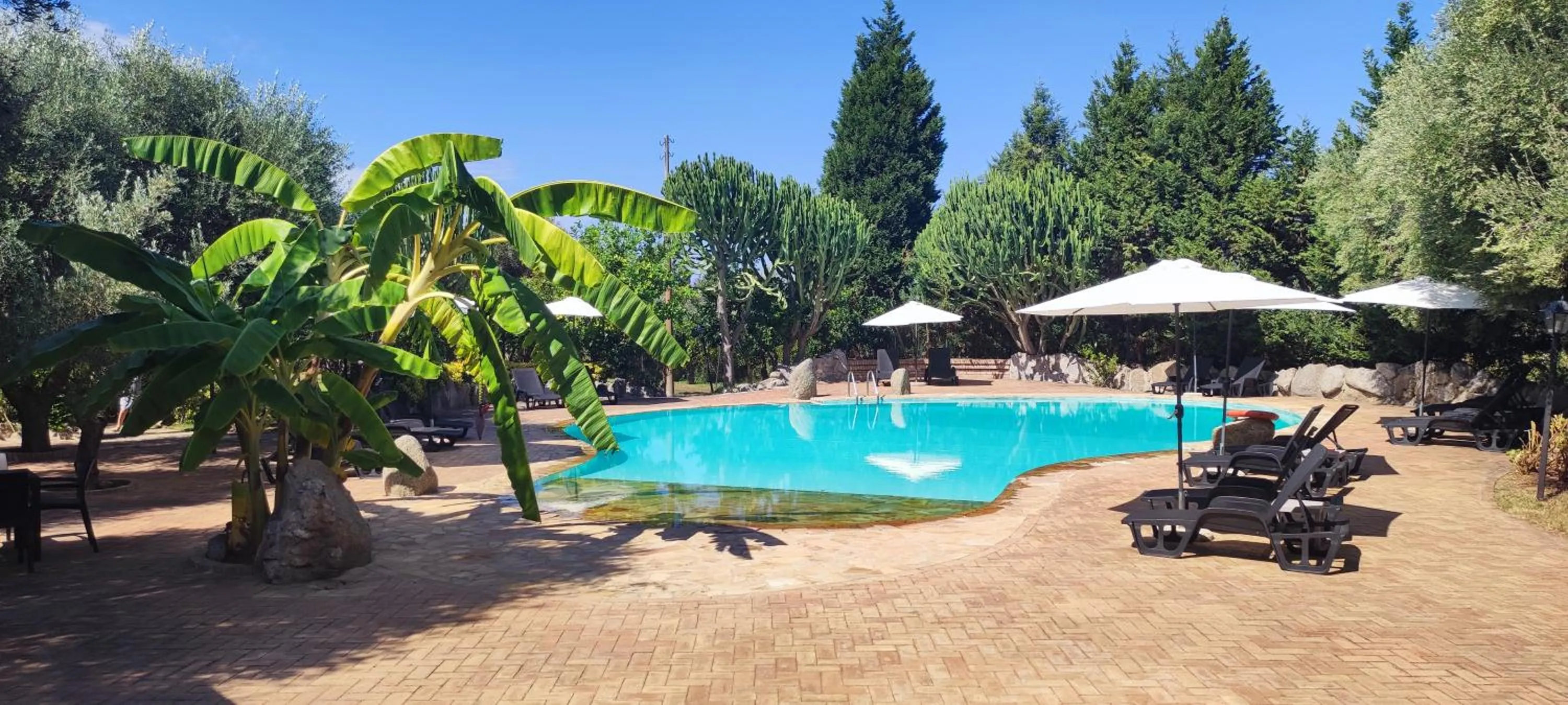Pool view in Residenza La Vigna