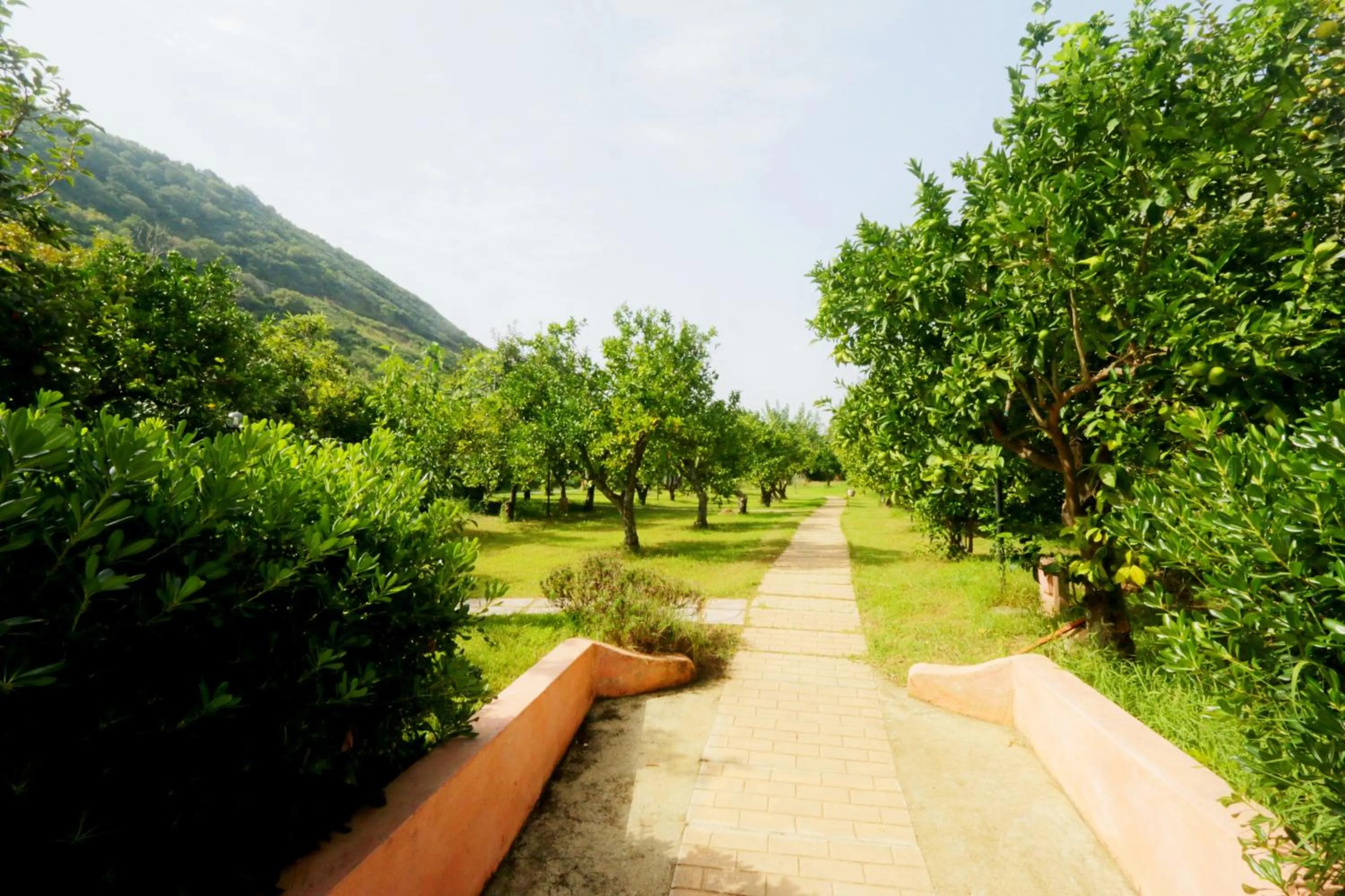 Garden in Residenza La Vigna