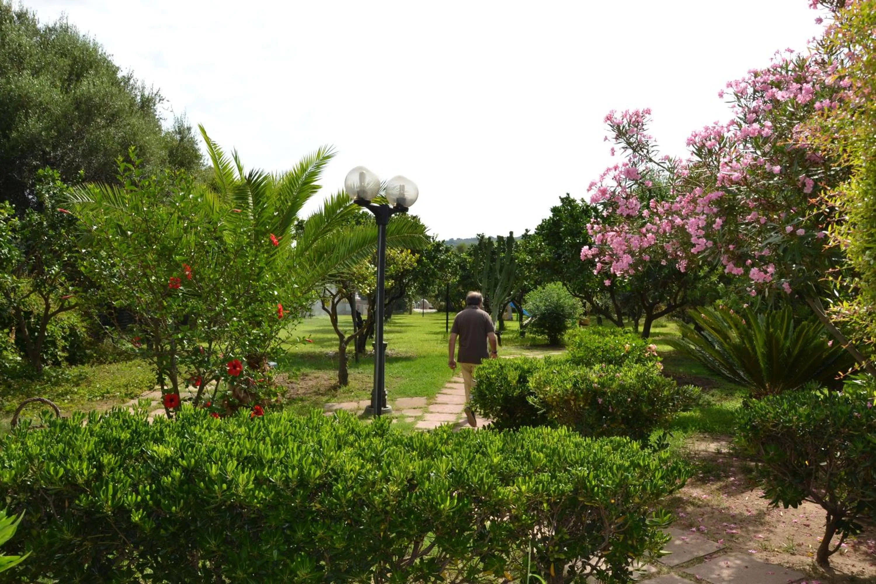 Garden in Residenza La Vigna
