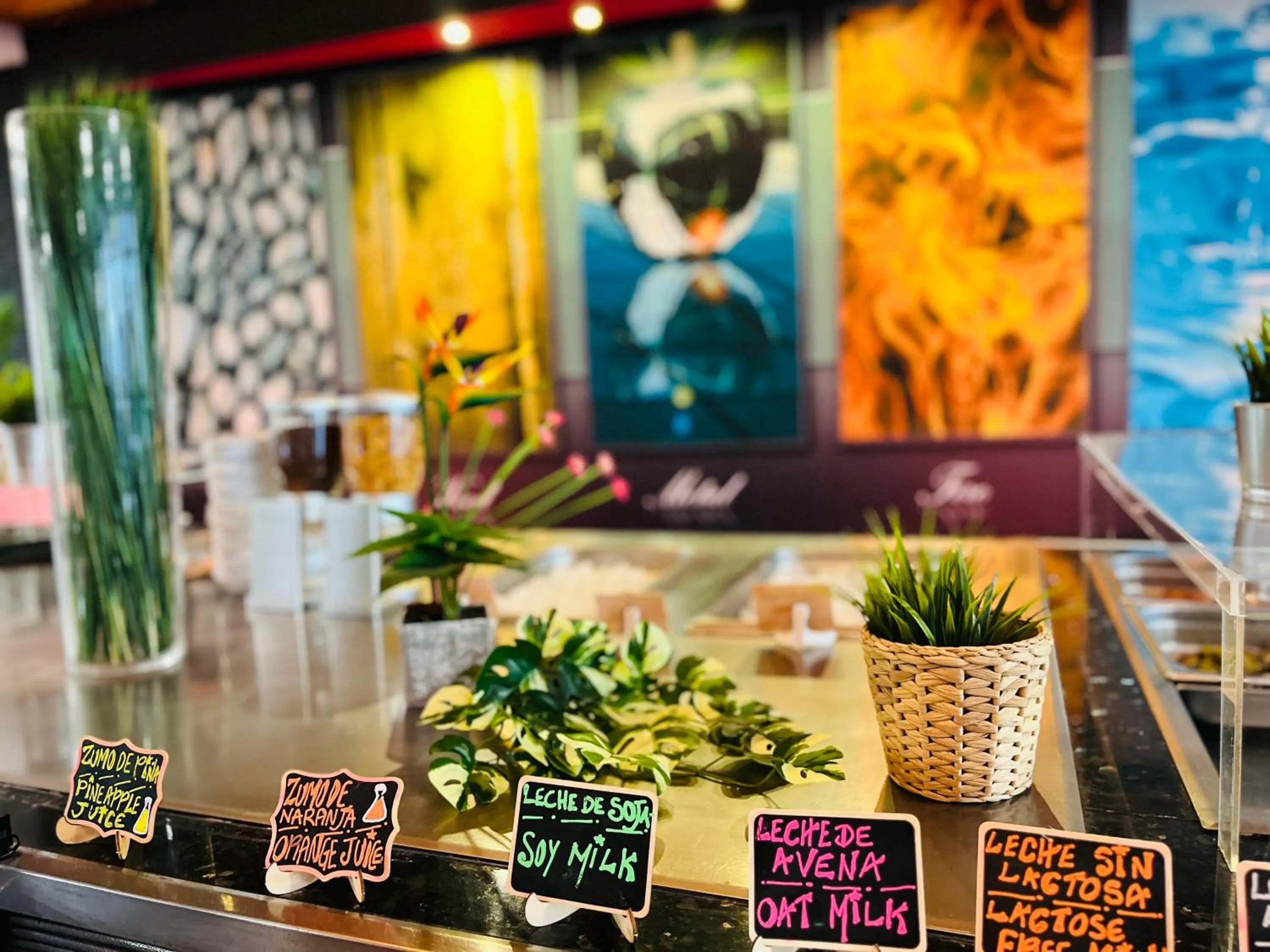 Breakfast in Princesa Solar 4* - Adults Recommended