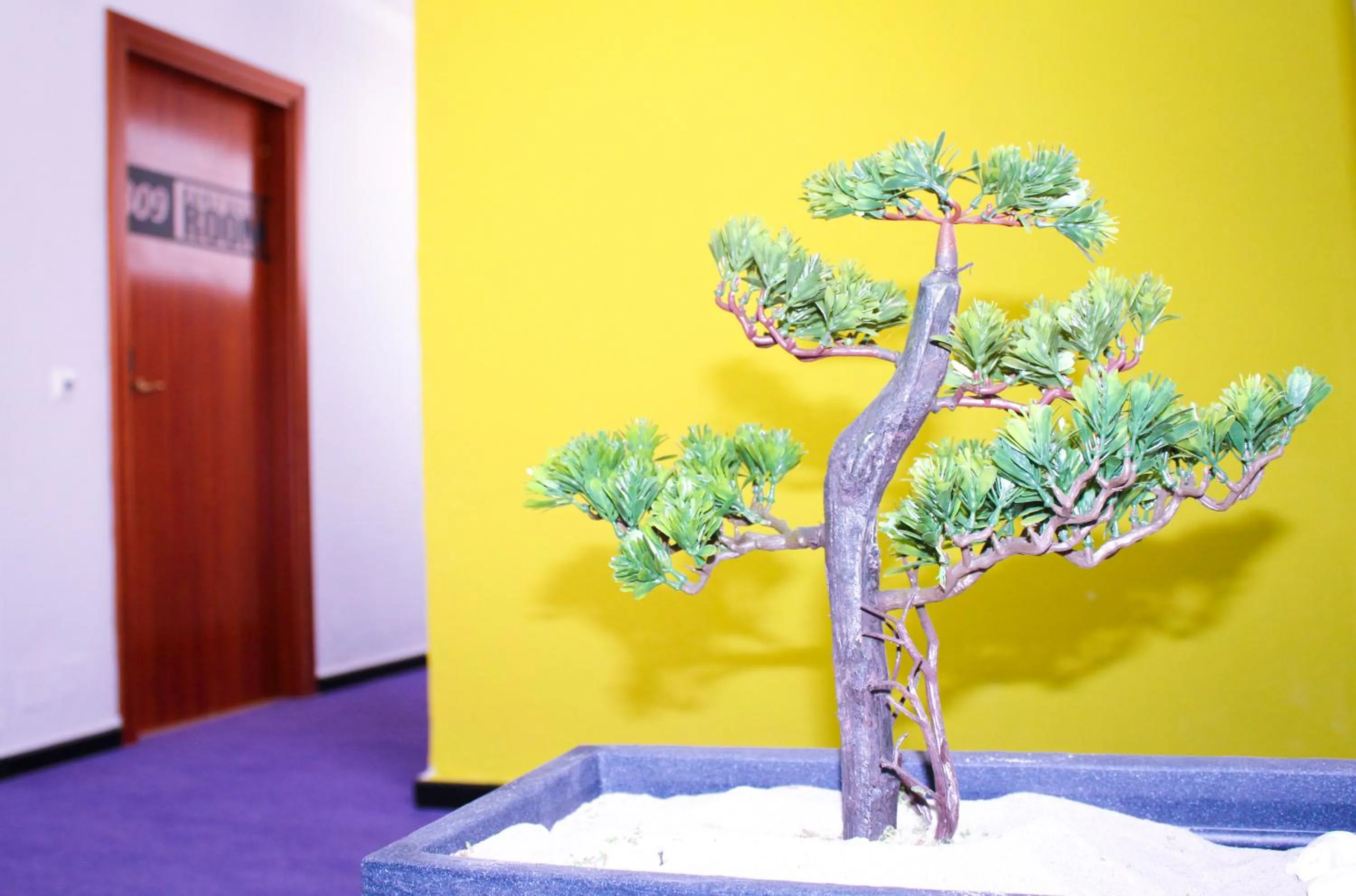 Area and facilities in Princesa Solar 4* - Adults Recommended