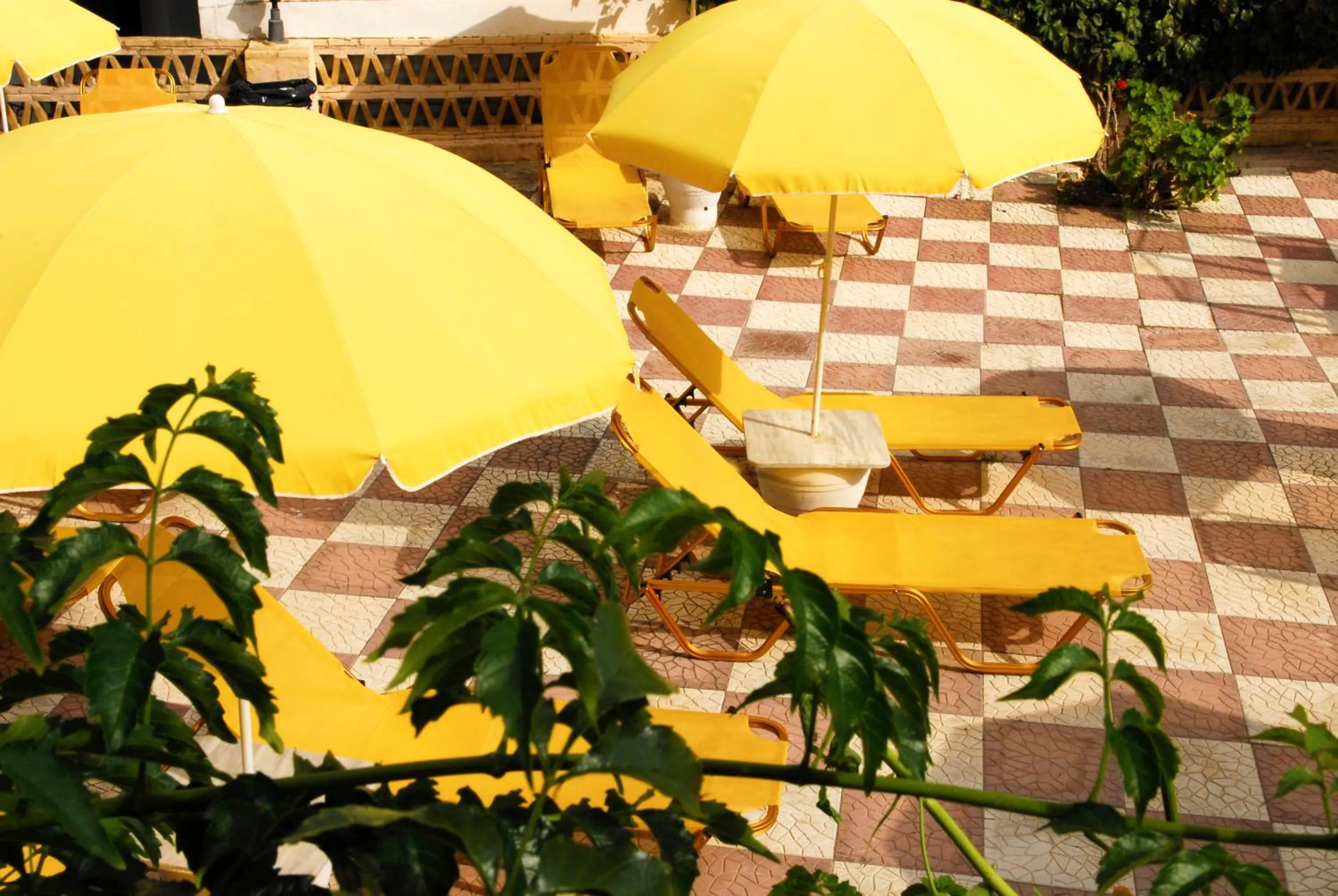 Bird's eye view in Vanessa Hotel