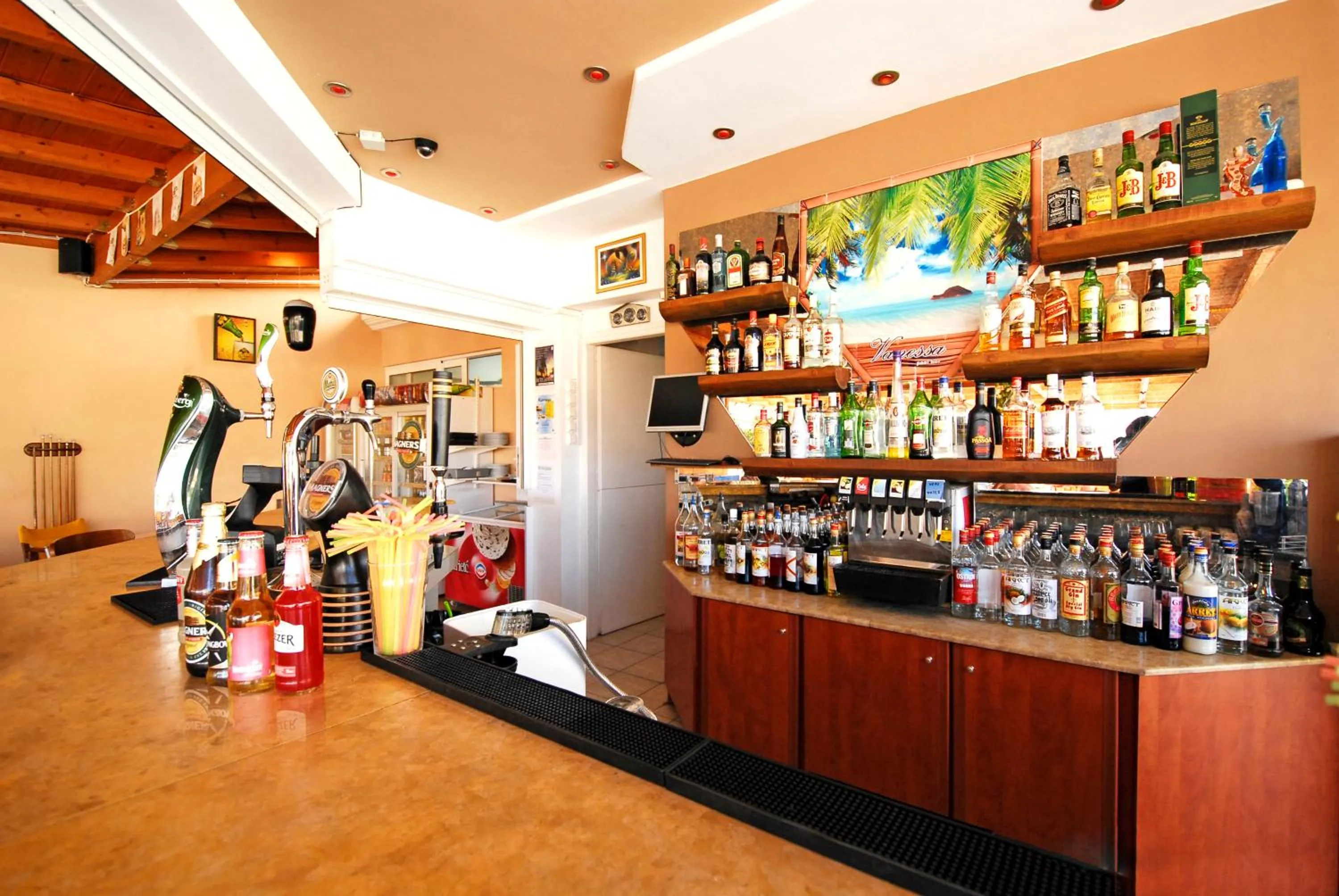 Lounge or bar in Vanessa Hotel