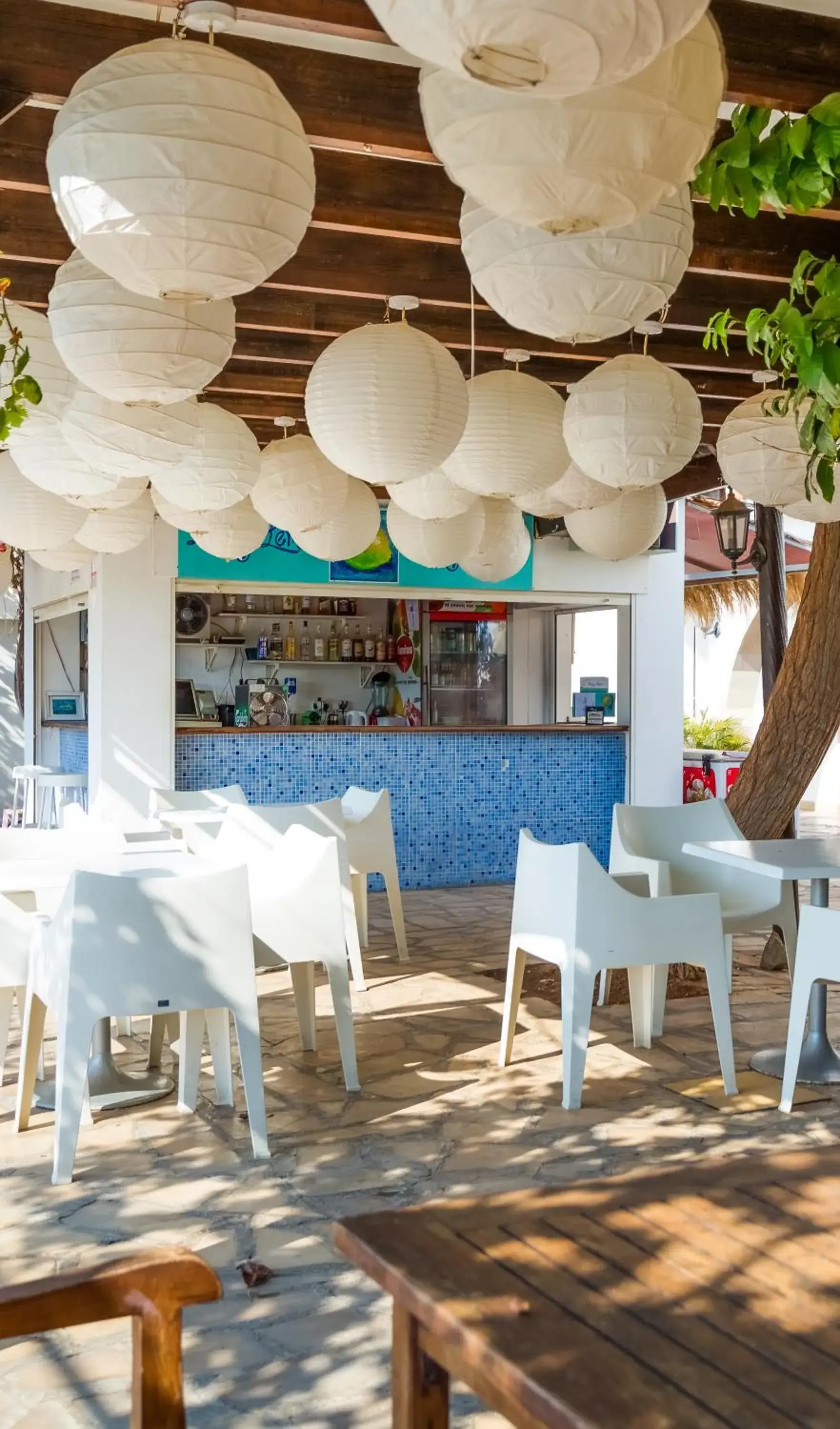 Lounge or bar in Captain Karas Holidays Apartments Lounge or bar in Captain Karas Holidays Apartments