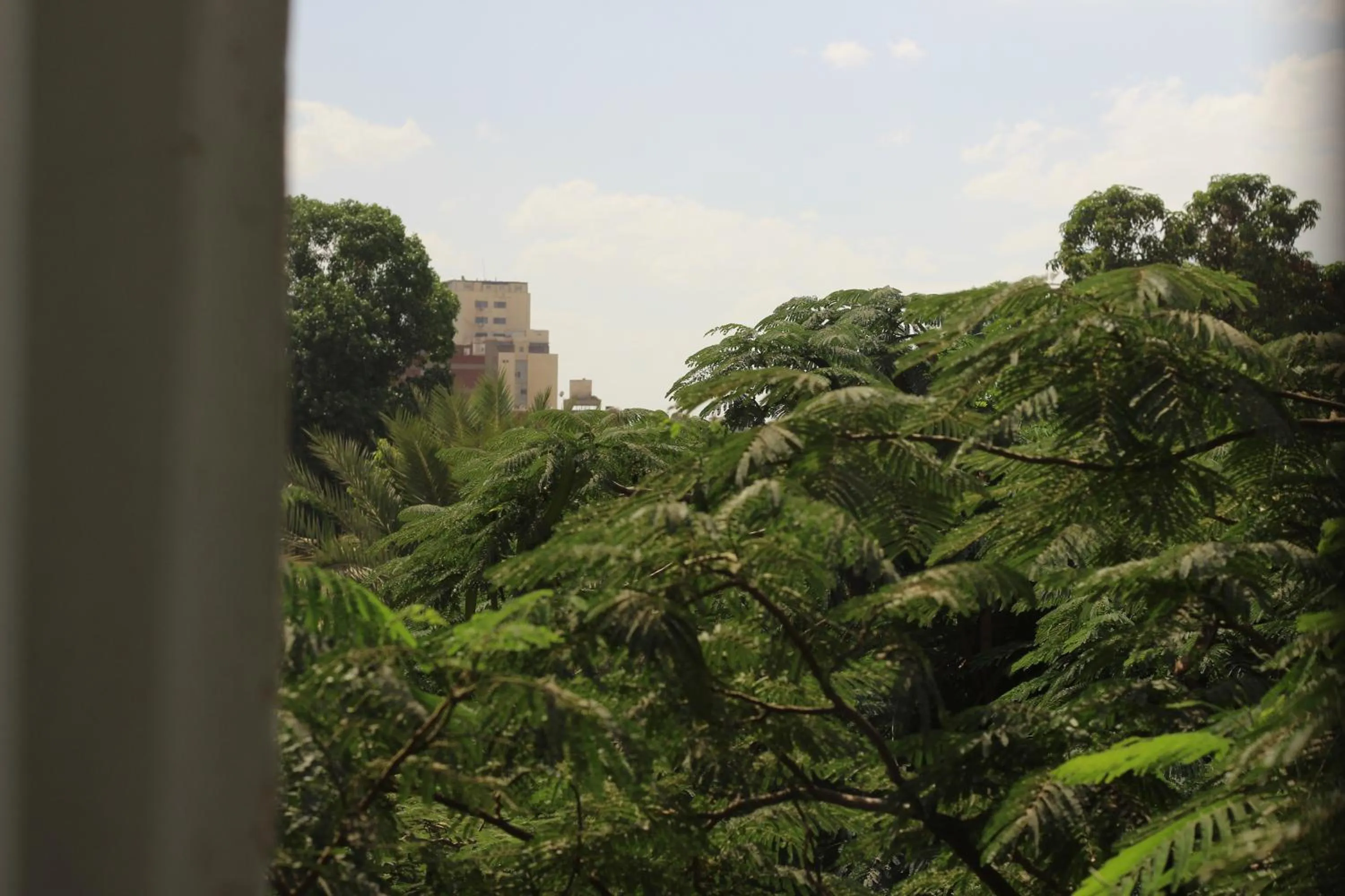 Natural landscape in Santana Hotel Cairo
