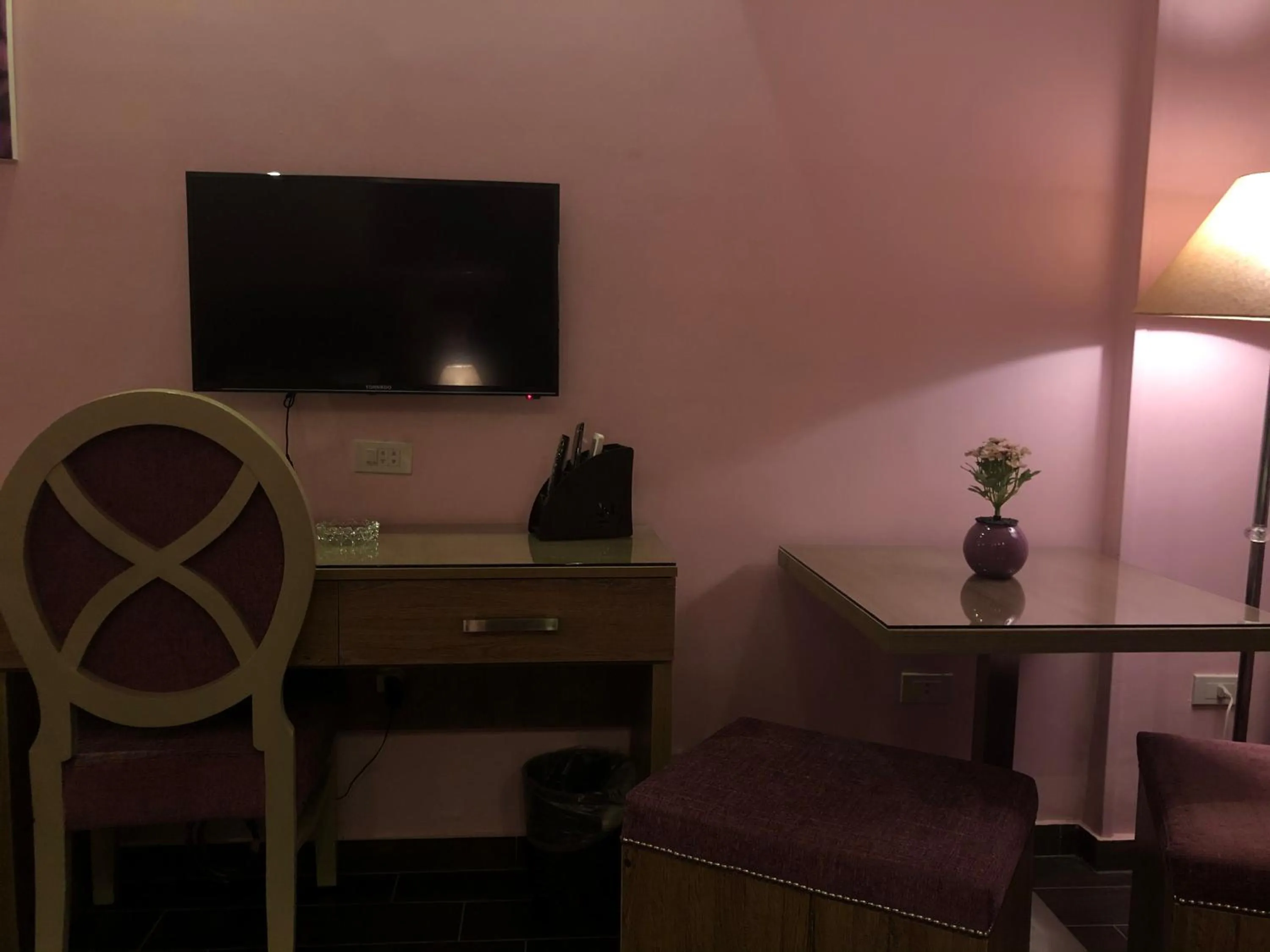 TV and multimedia in Santana Hotel Cairo