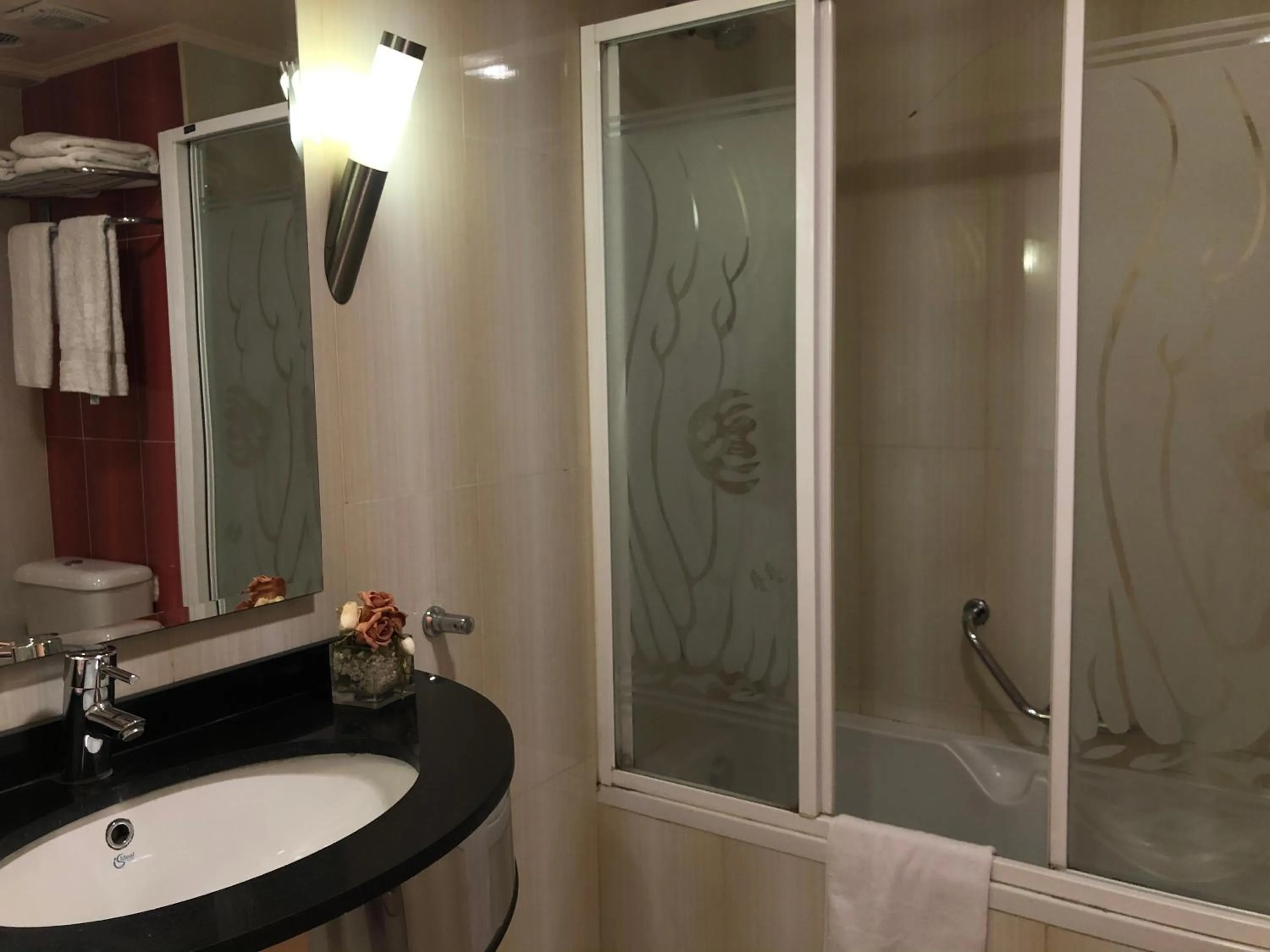 Shower in Santana Hotel Cairo