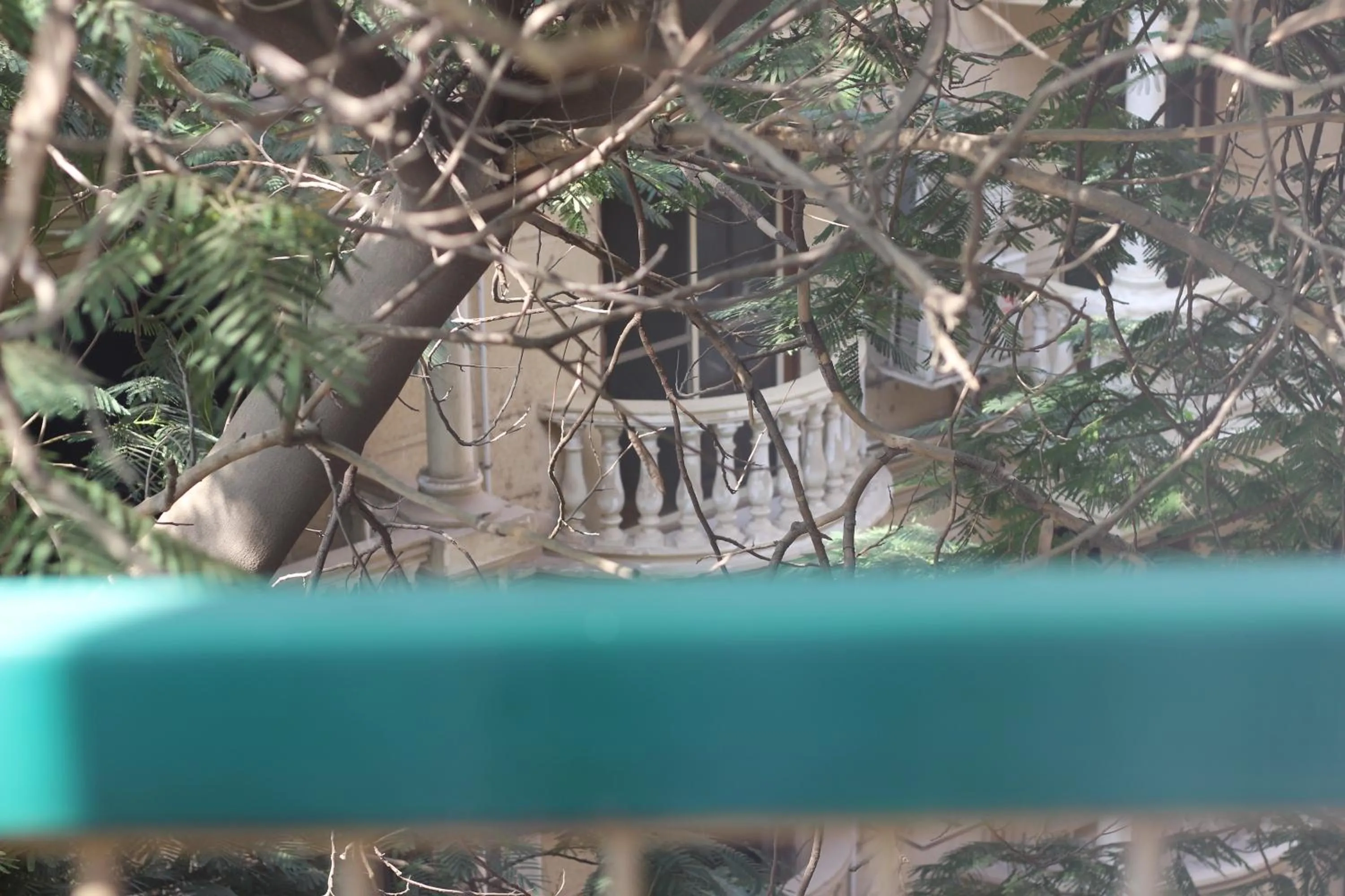 Natural landscape in Santana Hotel Cairo