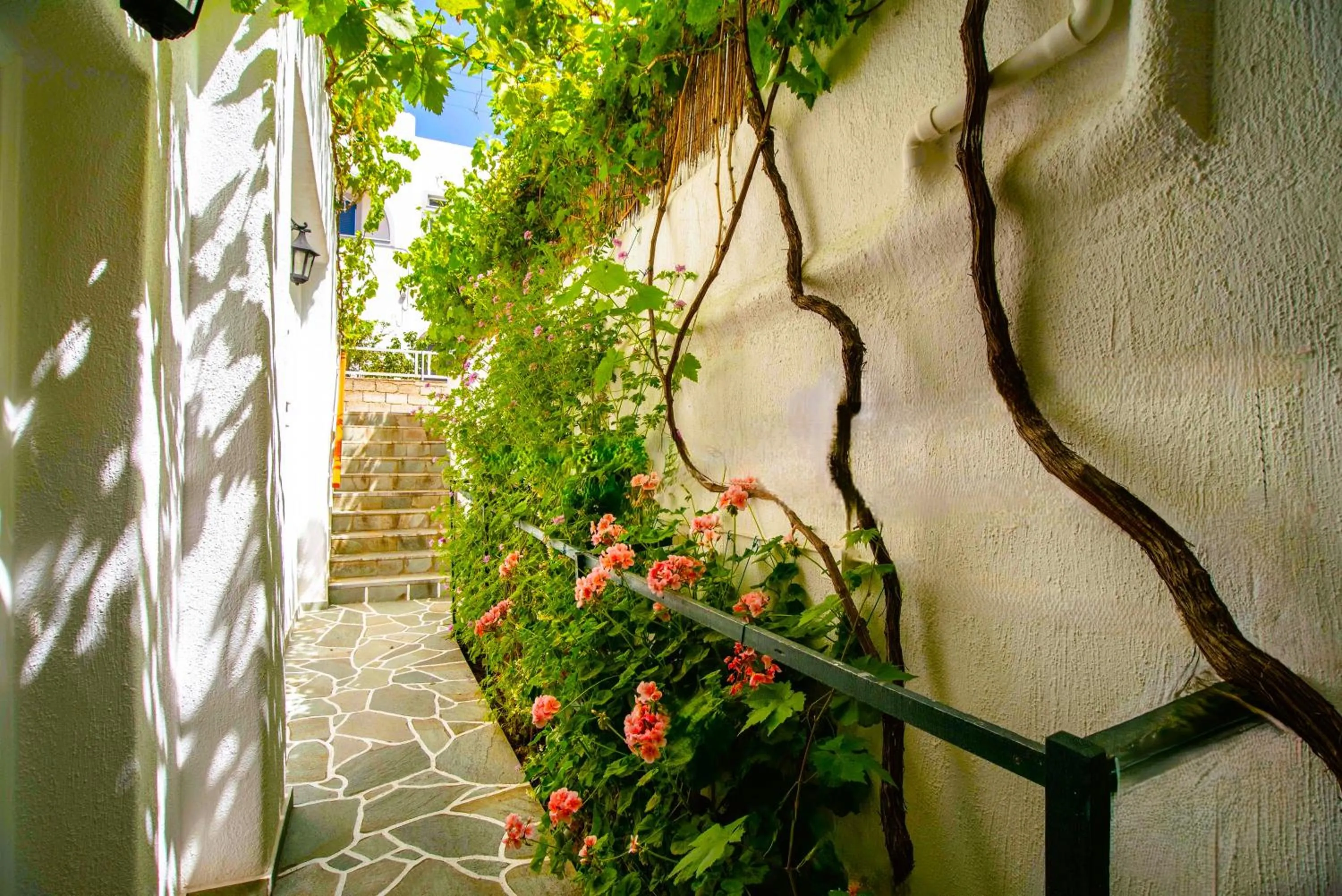 Facade/entrance in Kontaratos Studios & Apartments