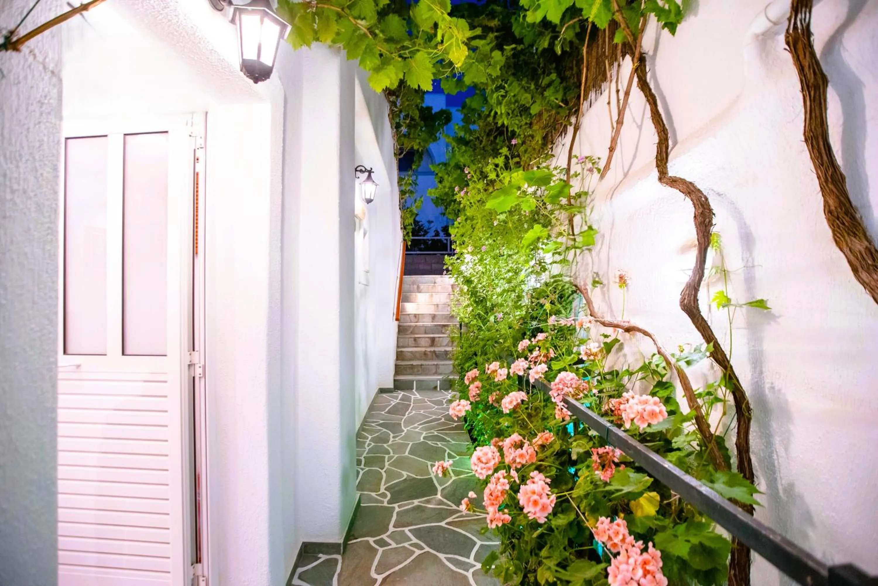 Facade/entrance in Kontaratos Studios & Apartments