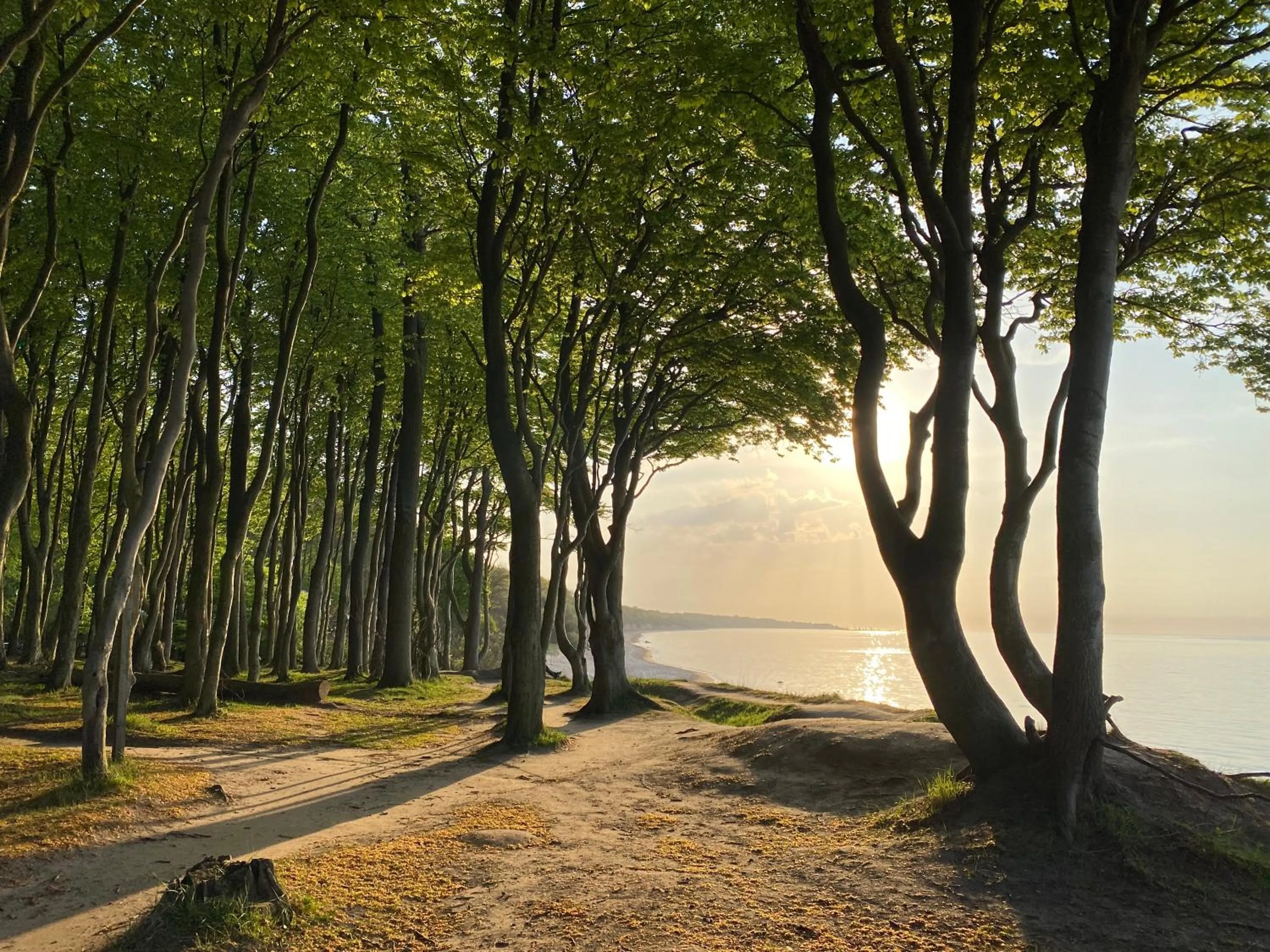 Nearby landmark in Hotel "Friedrich-Franz-Palais"