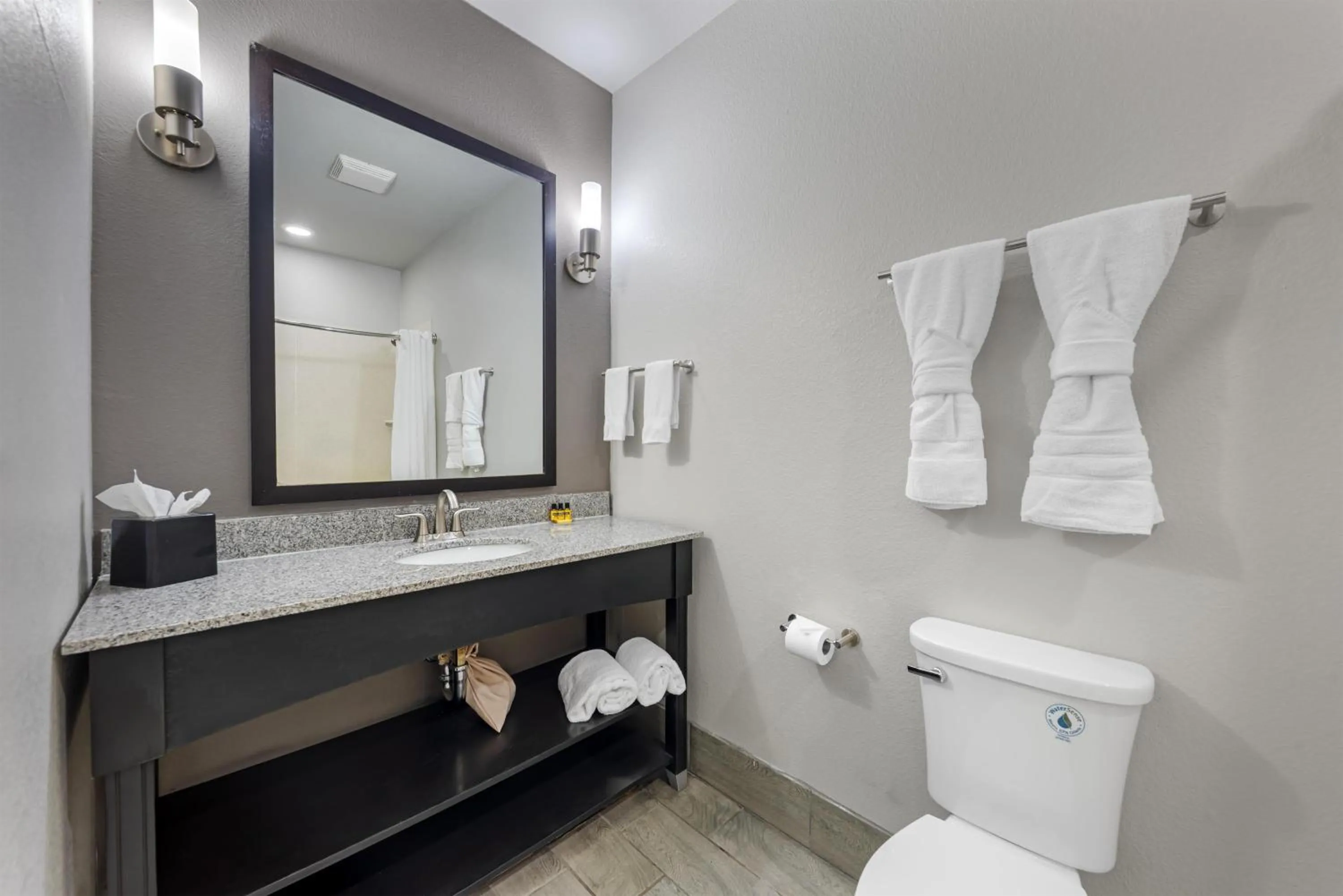 Bathroom in Best Western Plus Austin Airport Inn & Suites