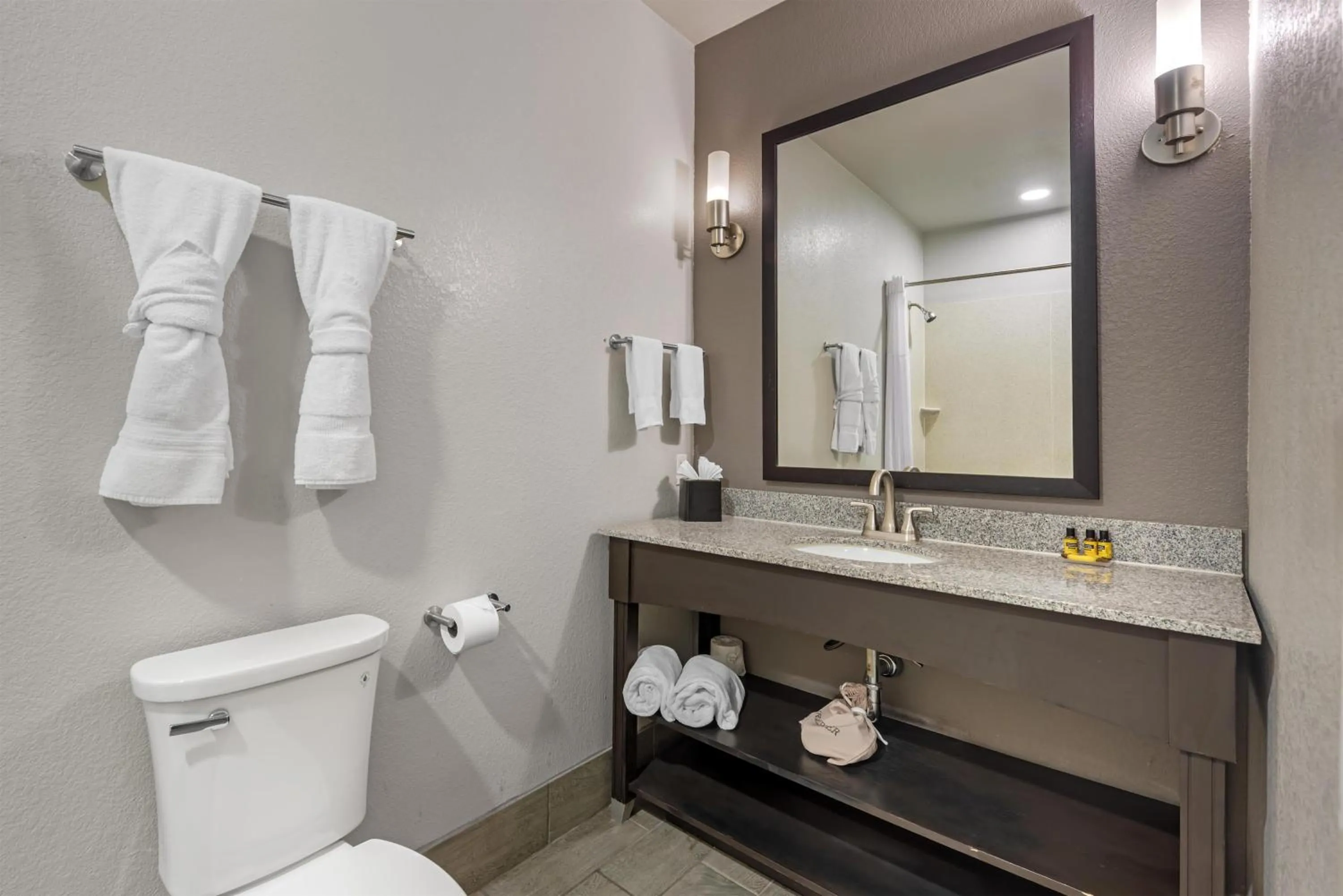Bathroom in Best Western Plus Austin Airport Inn & Suites