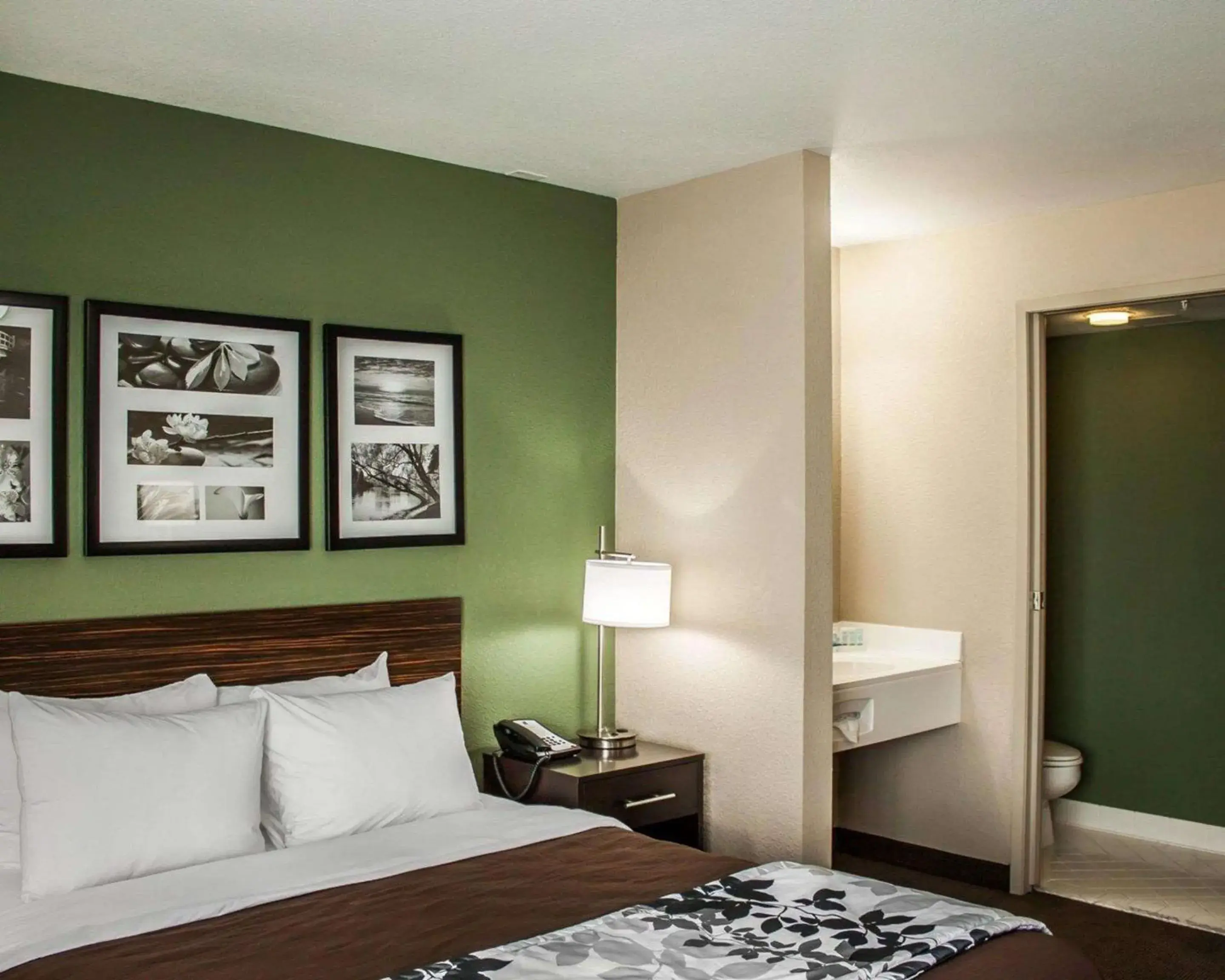 Queen Room - Non-Smoking in Sleep Inn Nampa near Idaho Center Queen Room - Non-Smoking in Sleep Inn Nampa near Idaho Center