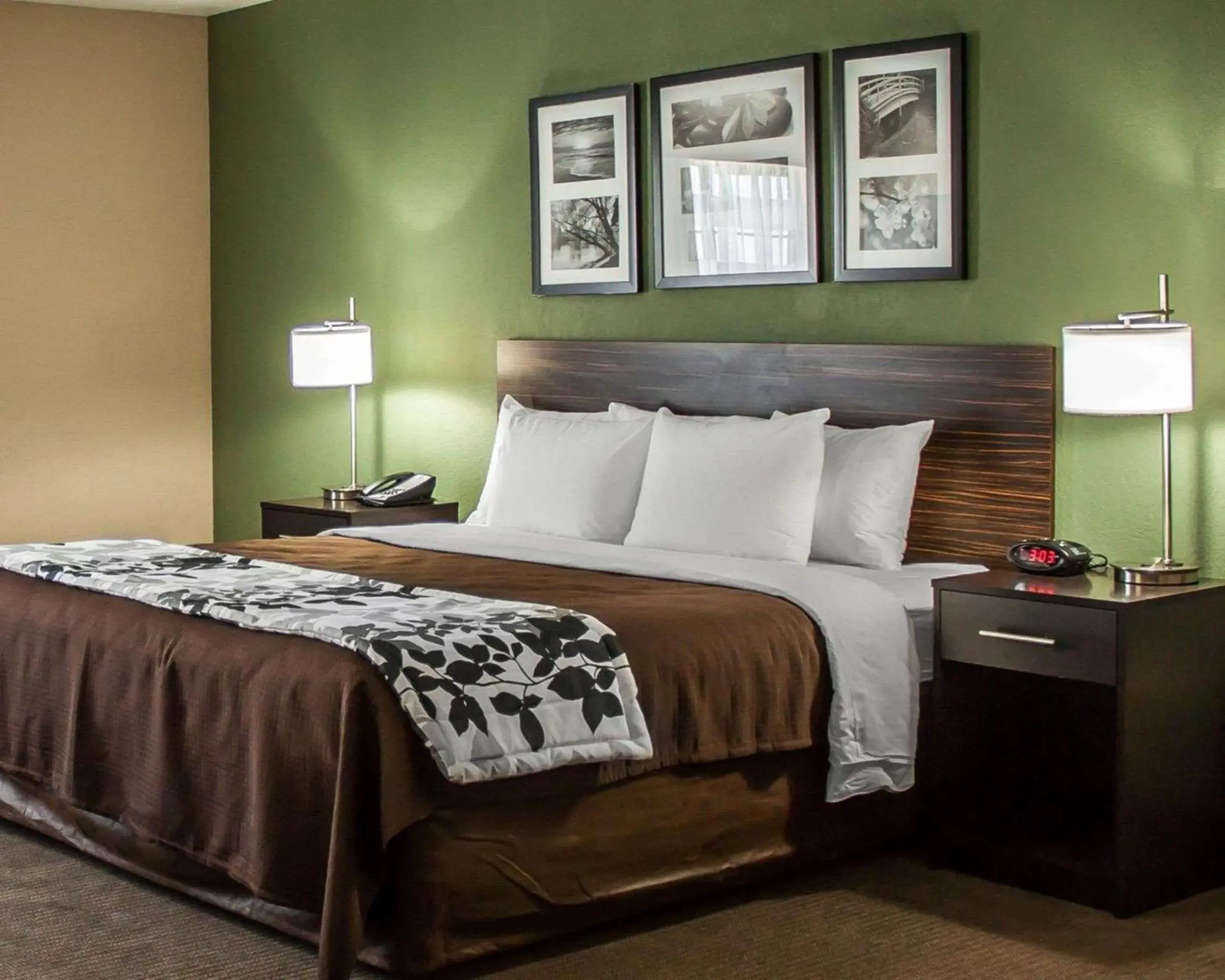 Photo of the whole room, Bed in Sleep Inn Nampa near Idaho Center Photo of the whole room, Bed in Sleep Inn Nampa near Idaho Center