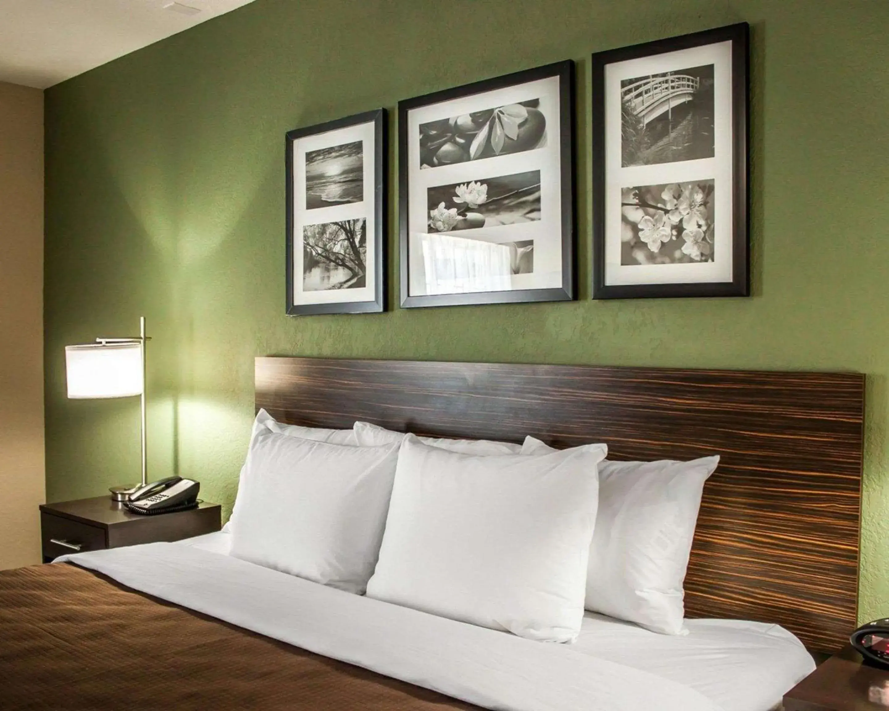 Photo of the whole room, Bed in Sleep Inn Nampa near Idaho Center Photo of the whole room, Bed in Sleep Inn Nampa near Idaho Center