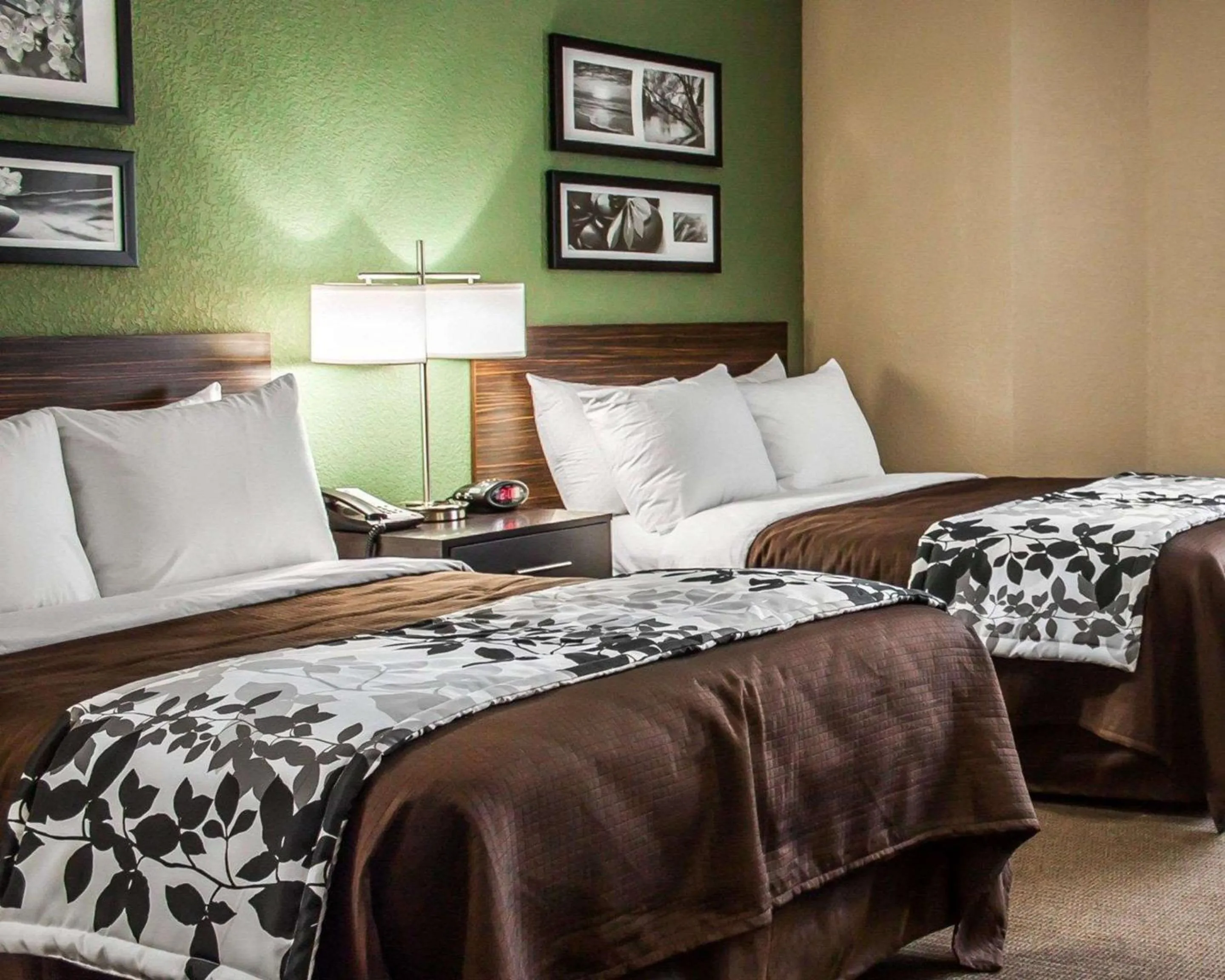 Photo of the whole room, Bed in Sleep Inn Nampa near Idaho Center