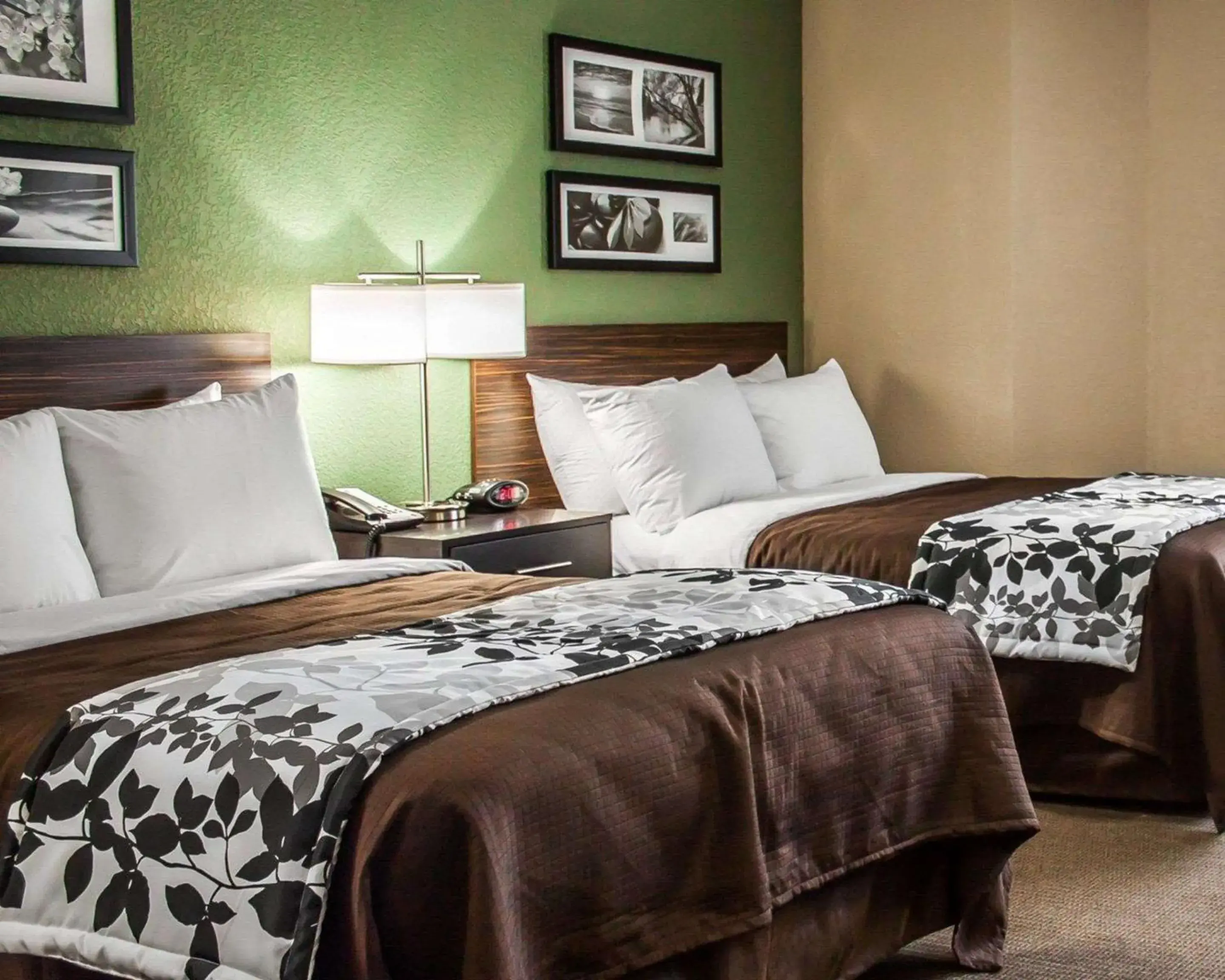 Photo of the whole room, Bed in Sleep Inn Nampa near Idaho Center Photo of the whole room, Bed in Sleep Inn Nampa near Idaho Center