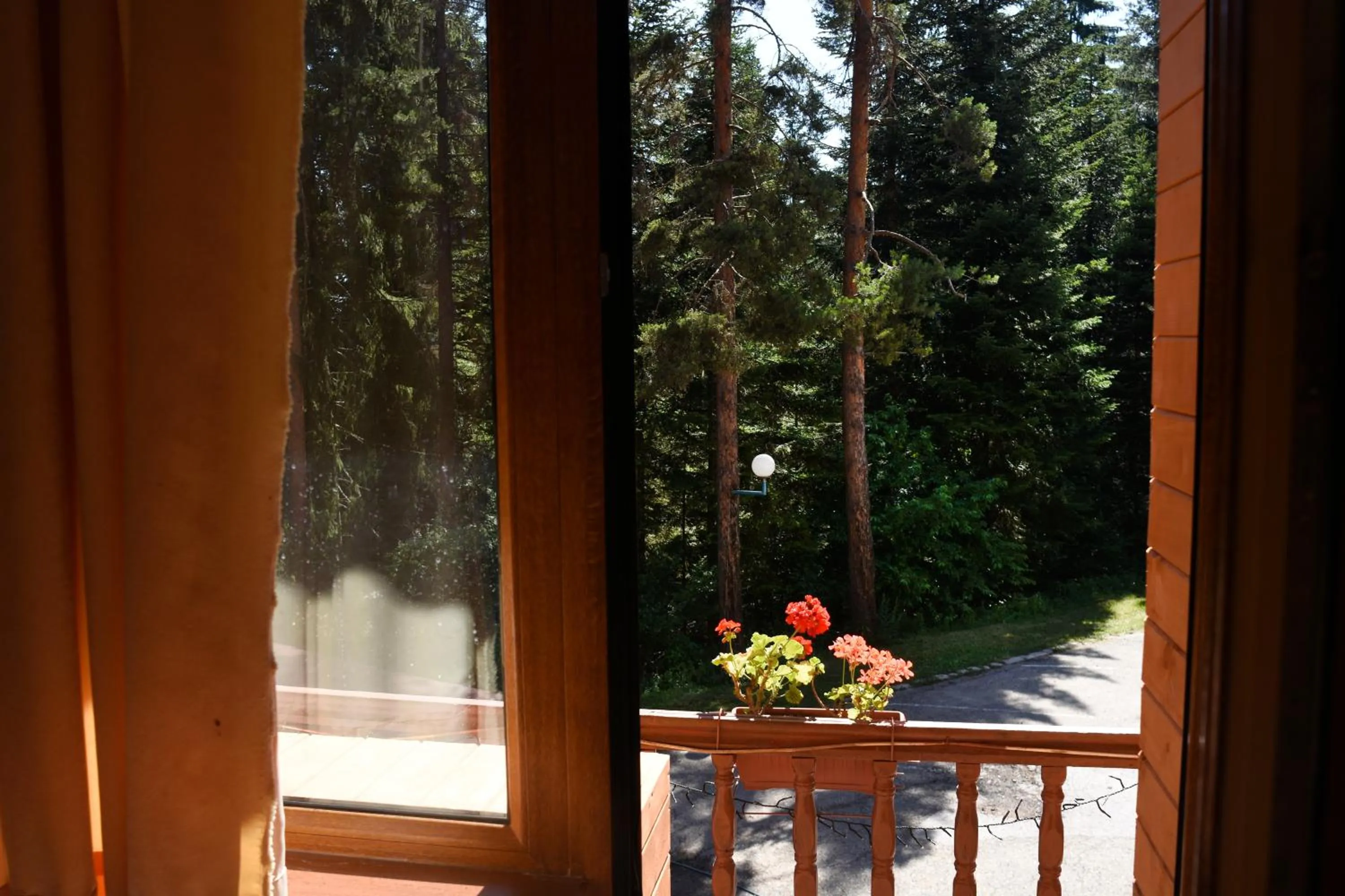 Balcony/Terrace in Ski Hotel Katerina