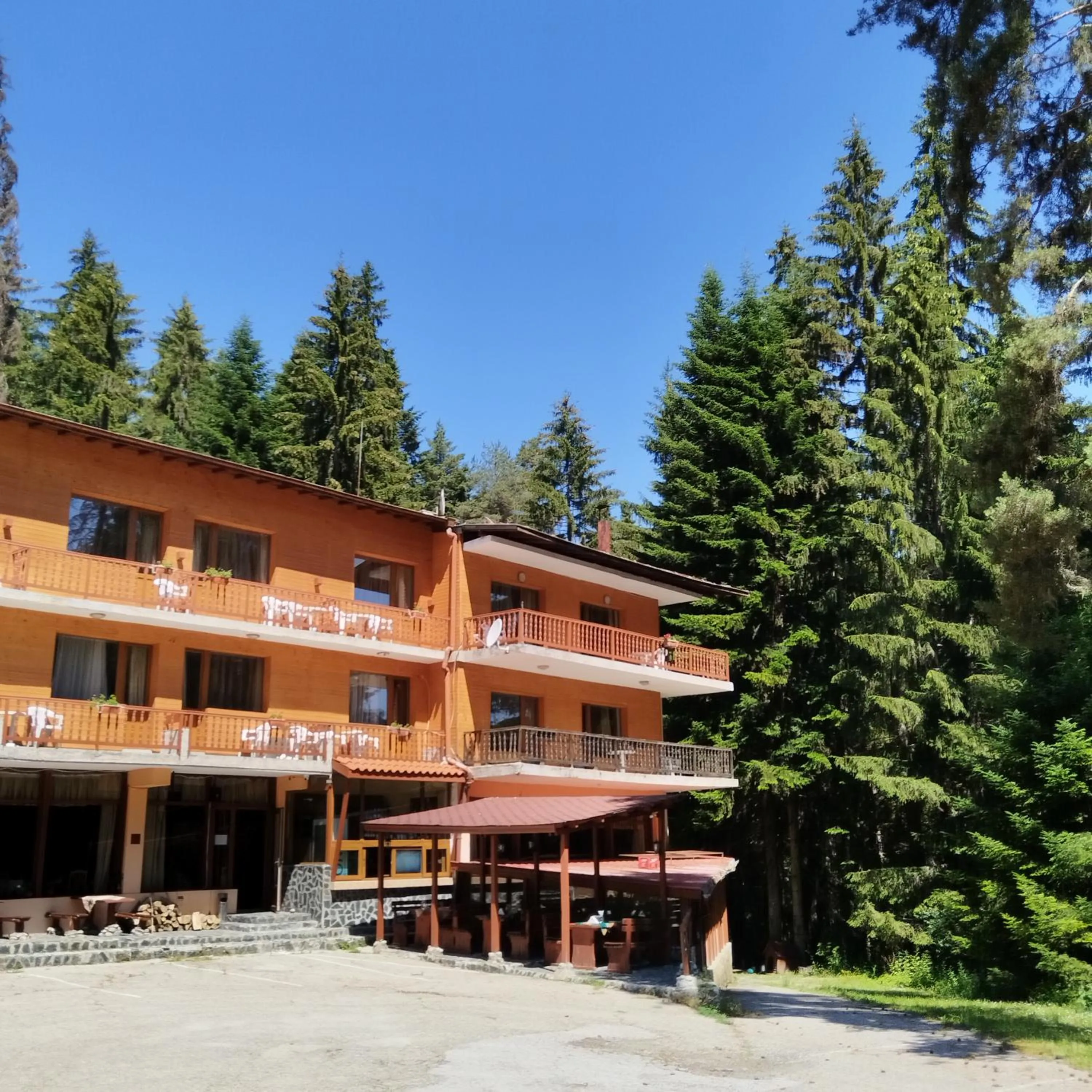 Property building in Ski Hotel Katerina