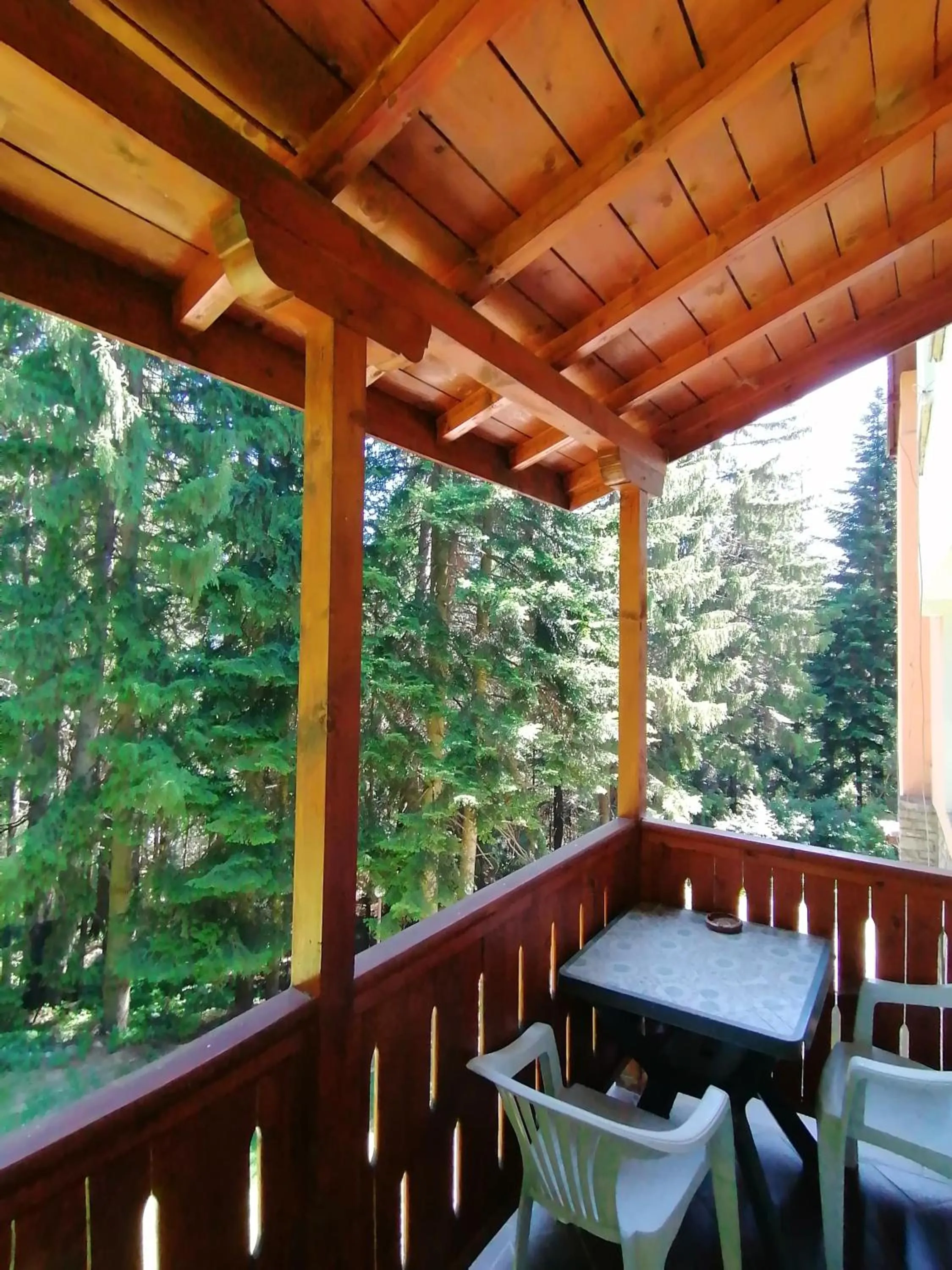 Day in Ski Hotel Katerina