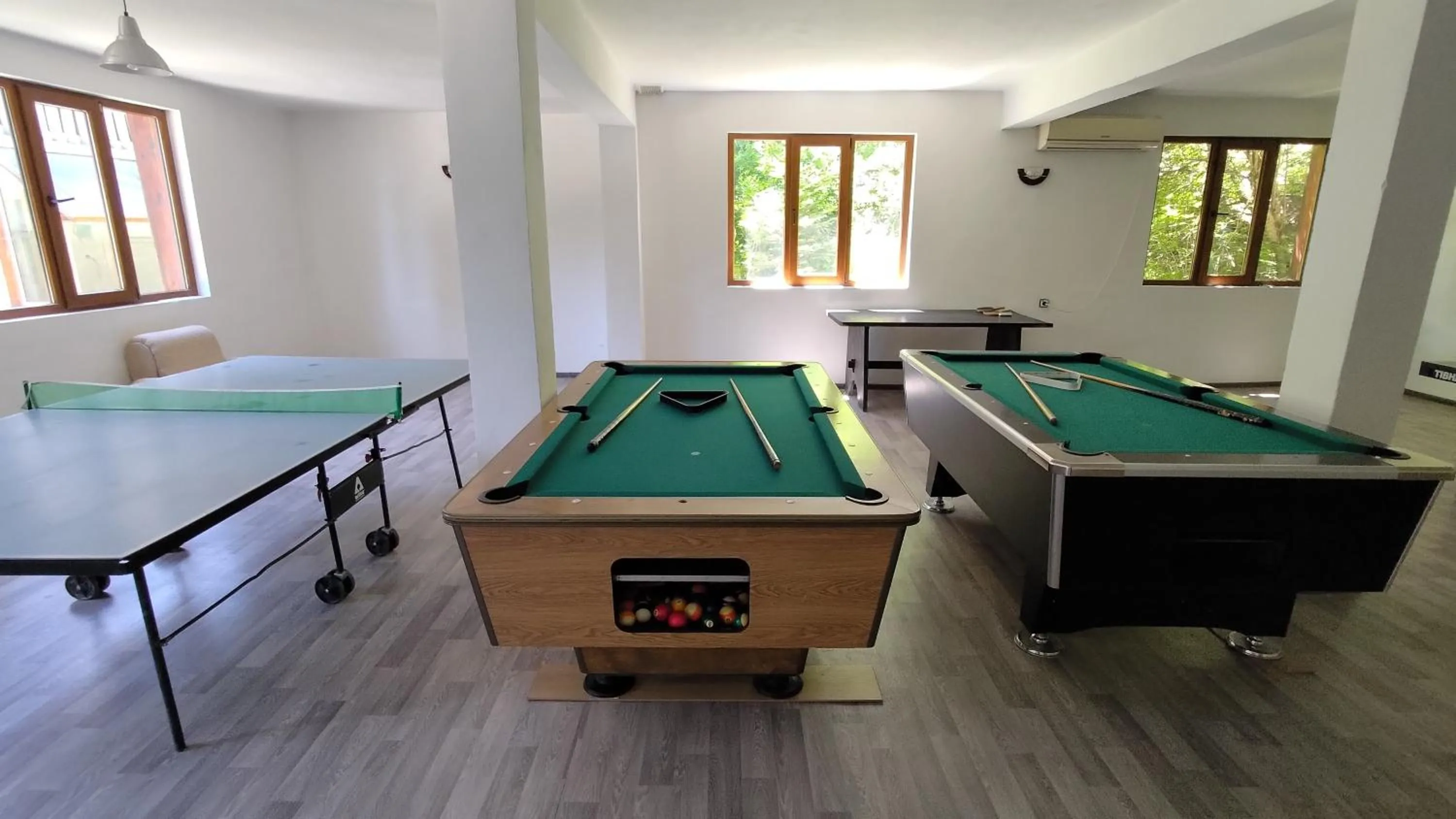 Billiard in Ski Hotel Katerina