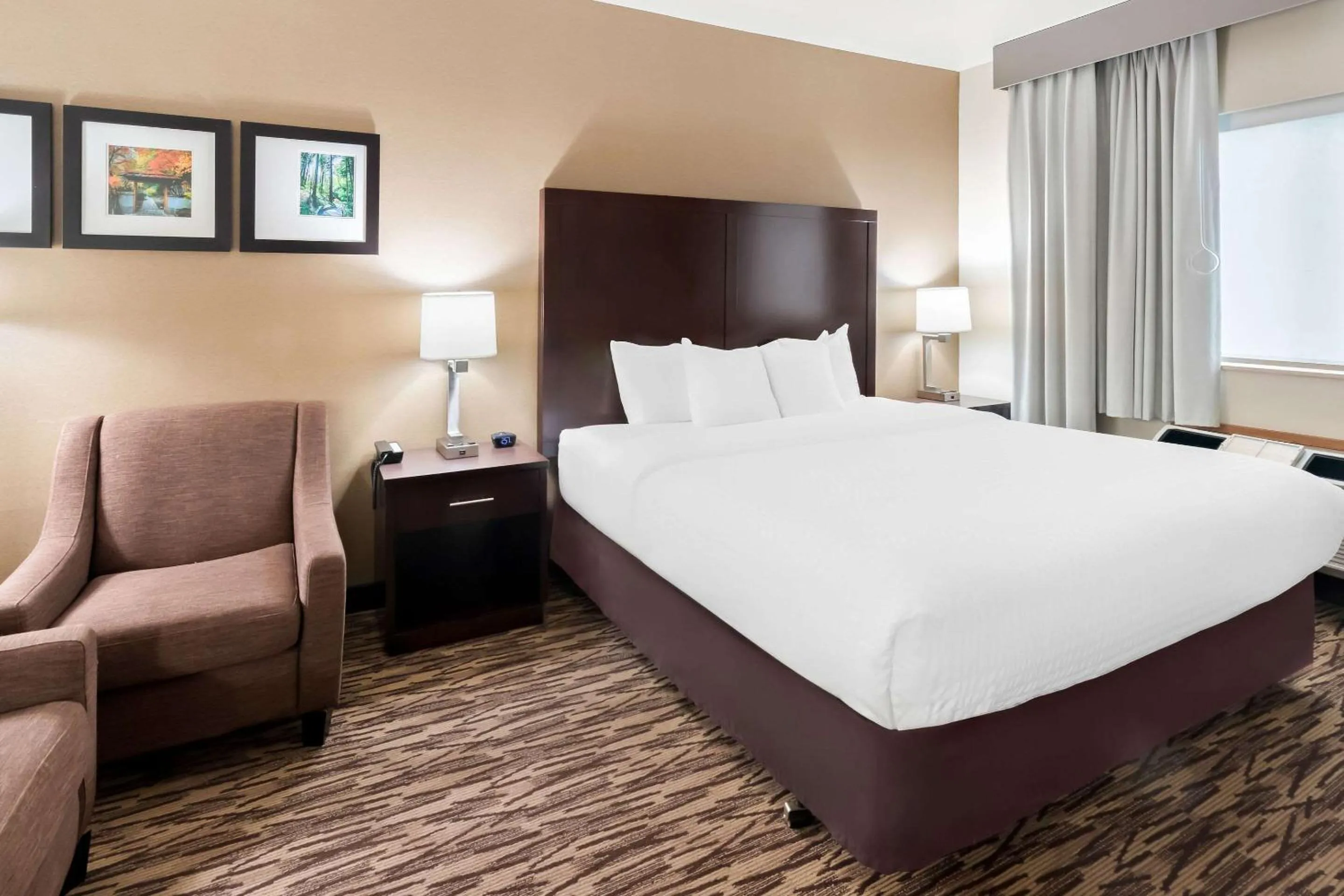 Bedroom, Bed in Comfort Suites Portland Airport