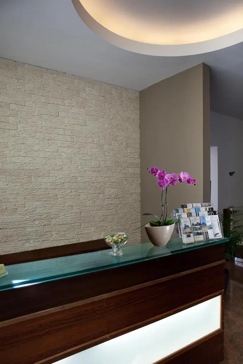 Lobby or reception in Hotel Aurora Lobby or reception in Hotel Aurora