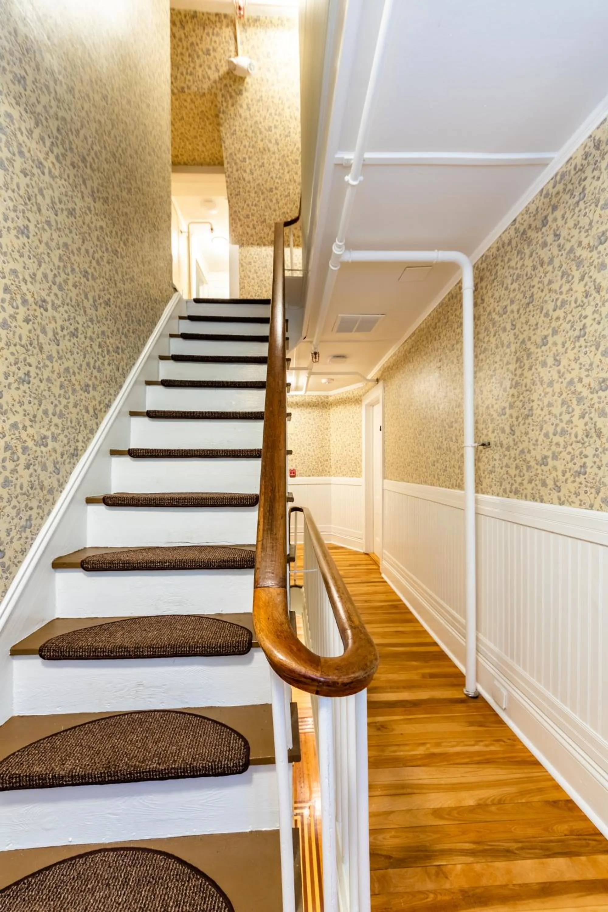 Property building in Cranmore Mountain Lodge Bed & Breakfast