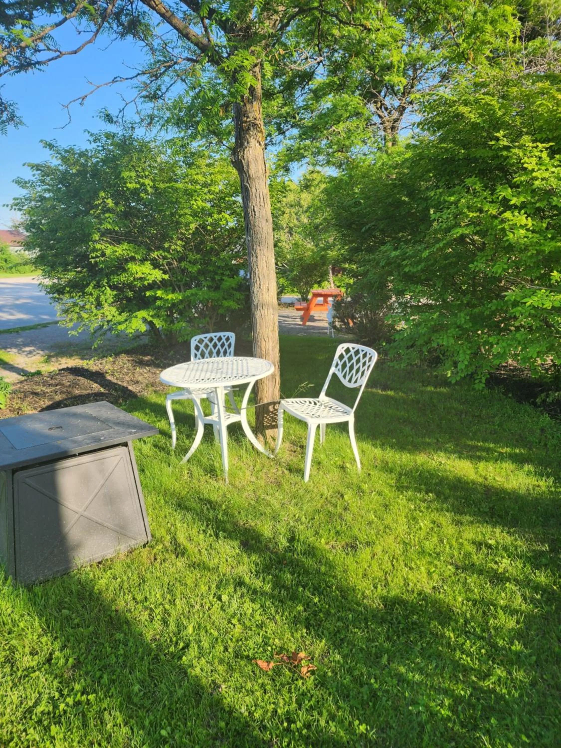 Day in Howard Johnson by Wyndham Lindsay