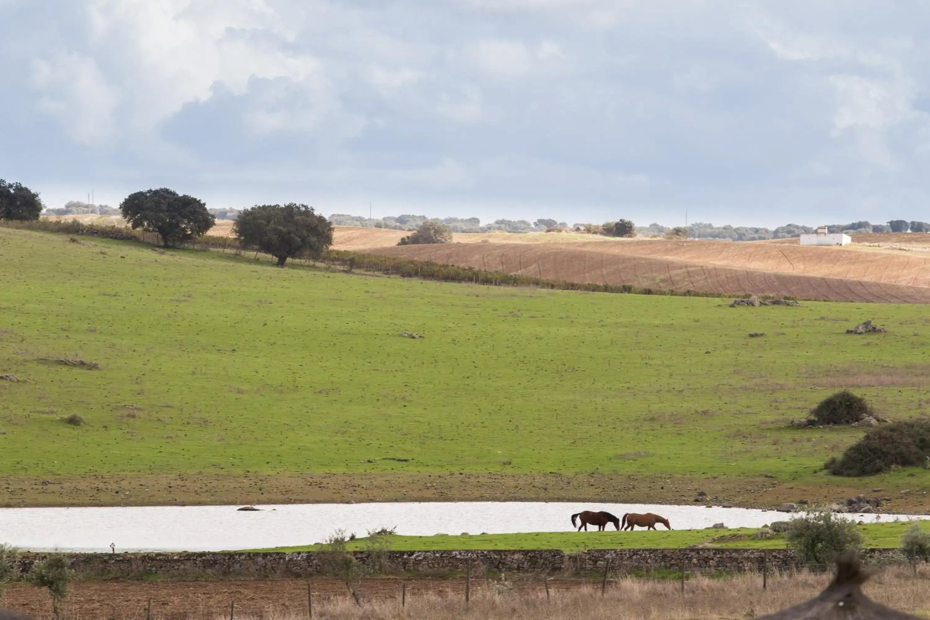 View (from property/room) in Hotel Rural Santo Antonio View (from property/room) in Hotel Rural Santo Antonio