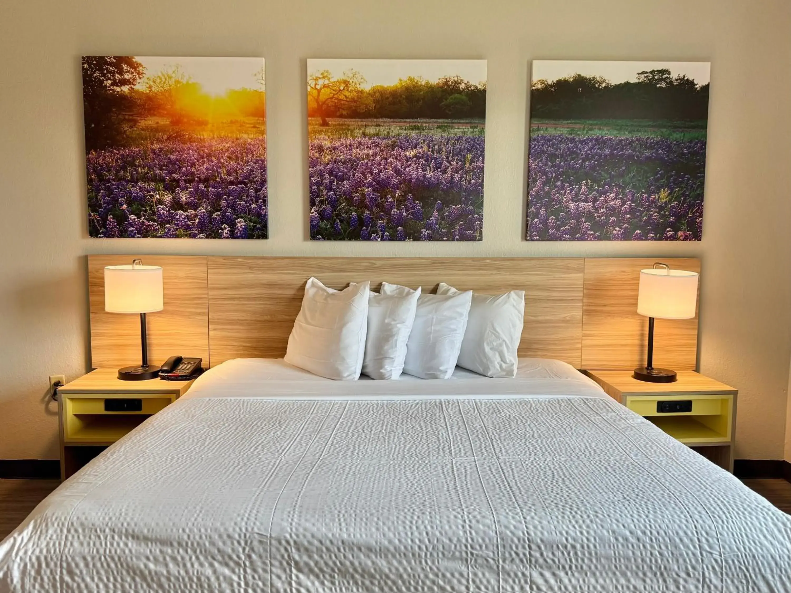 Studio King Suite - Mobility Access/Non-Smoking in Days Inn & Suites by Wyndham Houston / West Energy Corridor Studio King Suite - Mobility Access/Non-Smoking in Days Inn & Suites by Wyndham Houston / West Energy Corridor