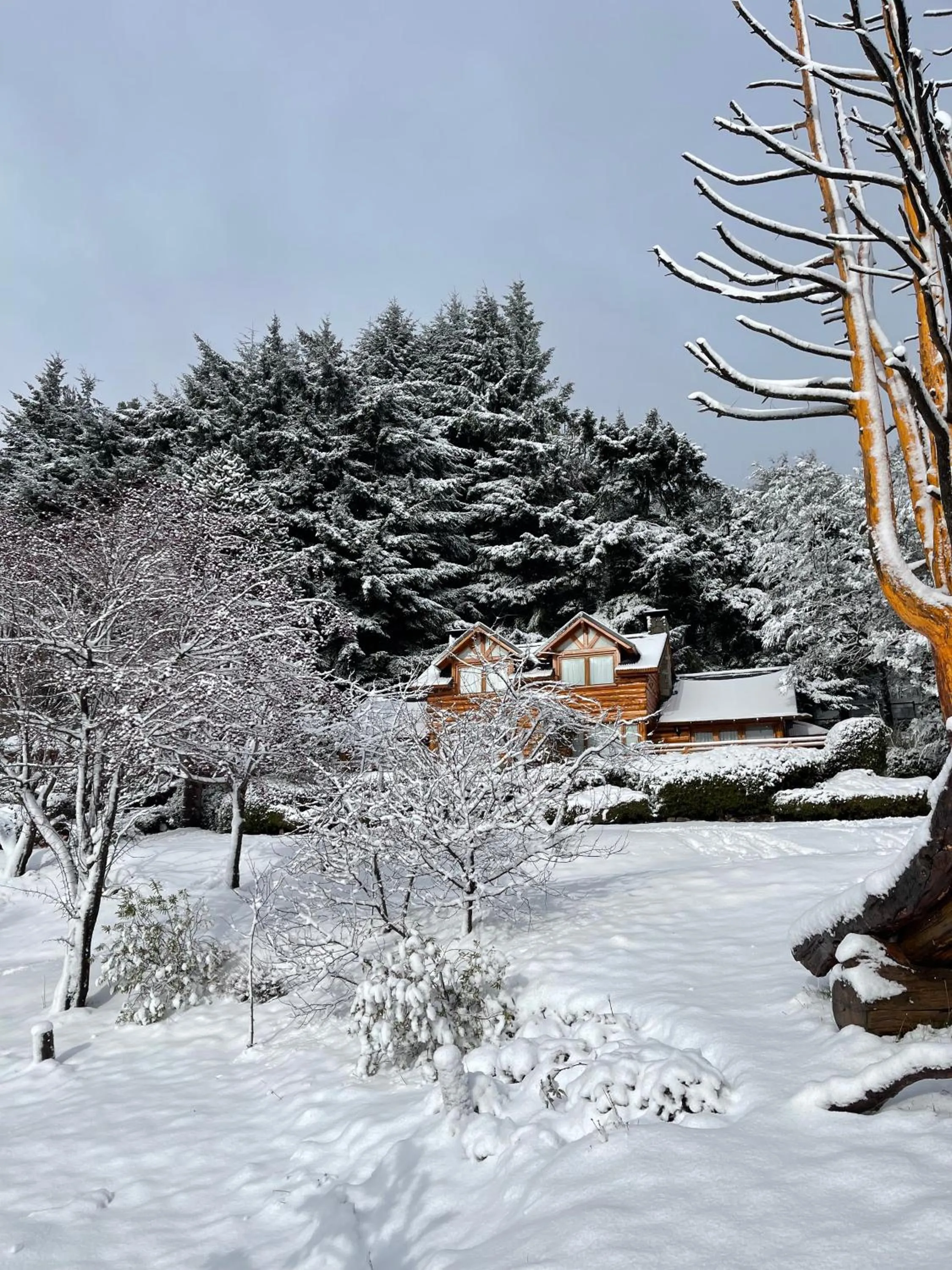 Natural landscape in Cabañas Puerto Pireo