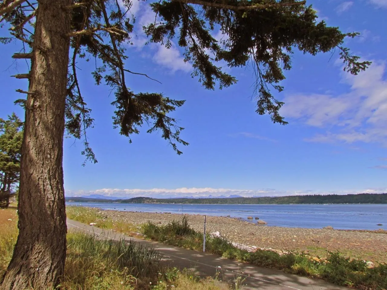 Beach in Heron's Landing Hotel
