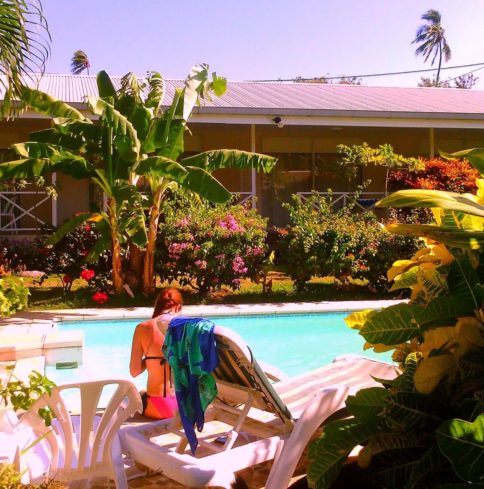 Pool view in Pension De La Plage