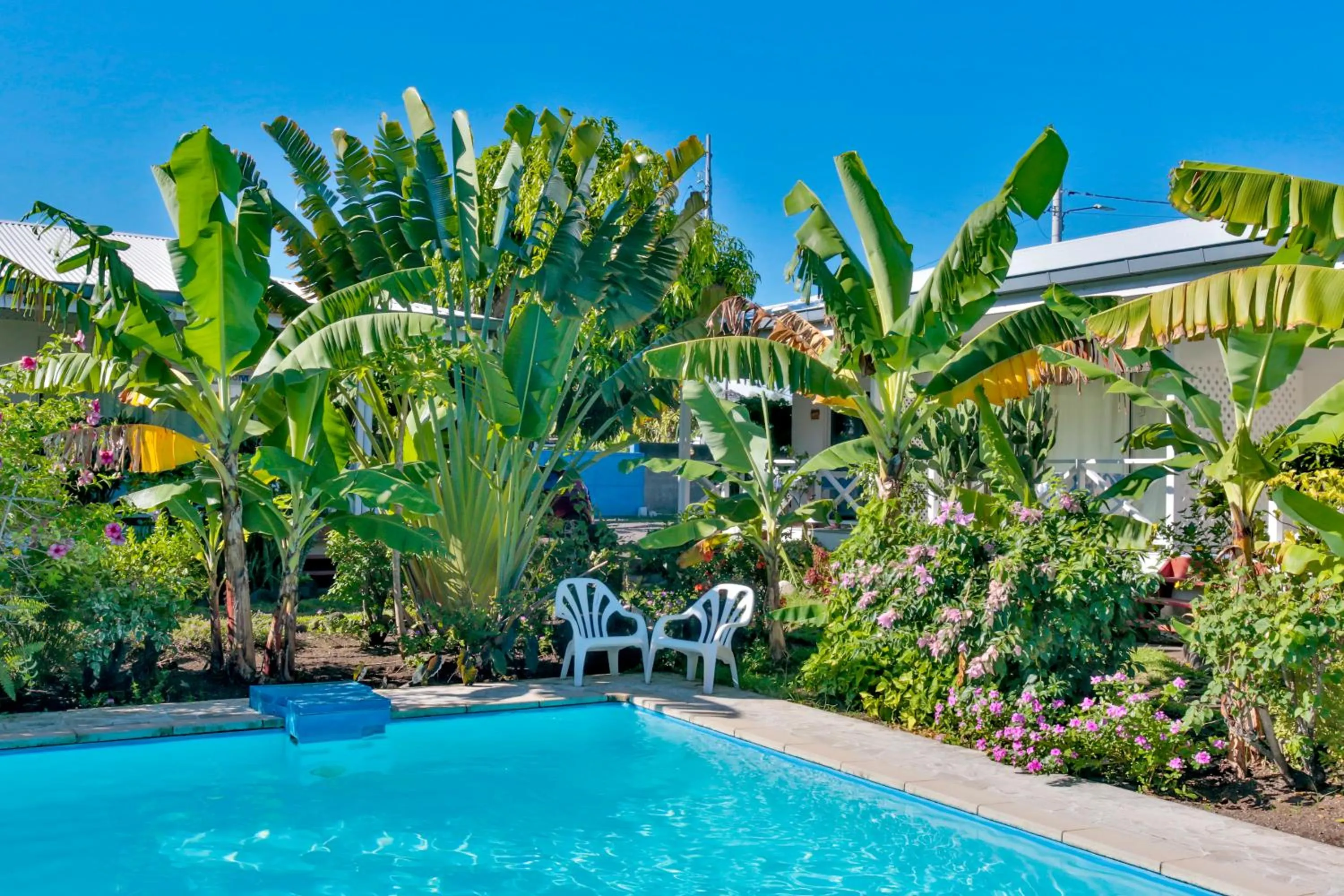 Swimming pool in Pension De La Plage