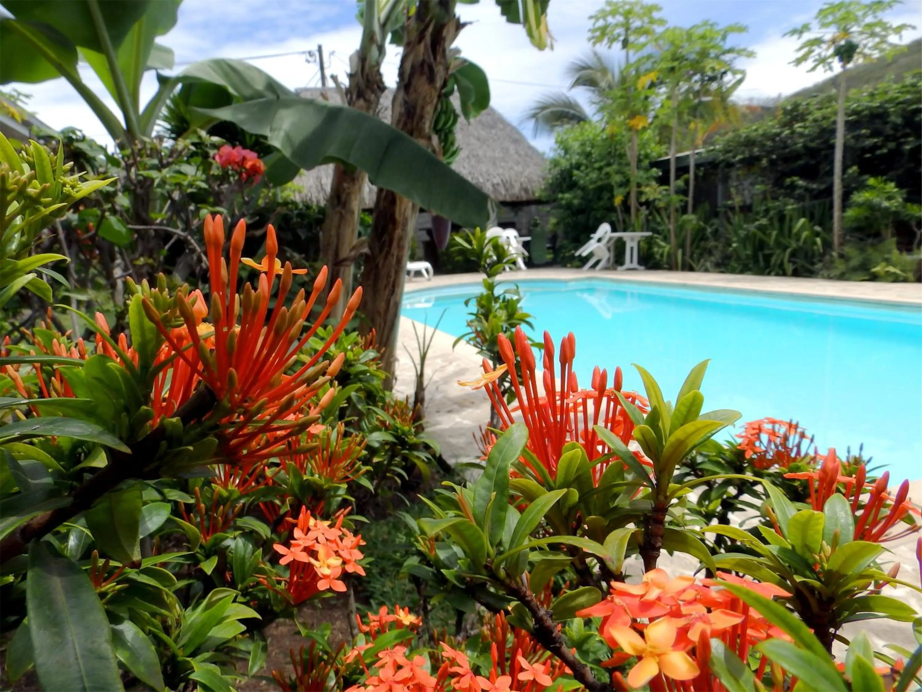Pool view in Pension De La Plage