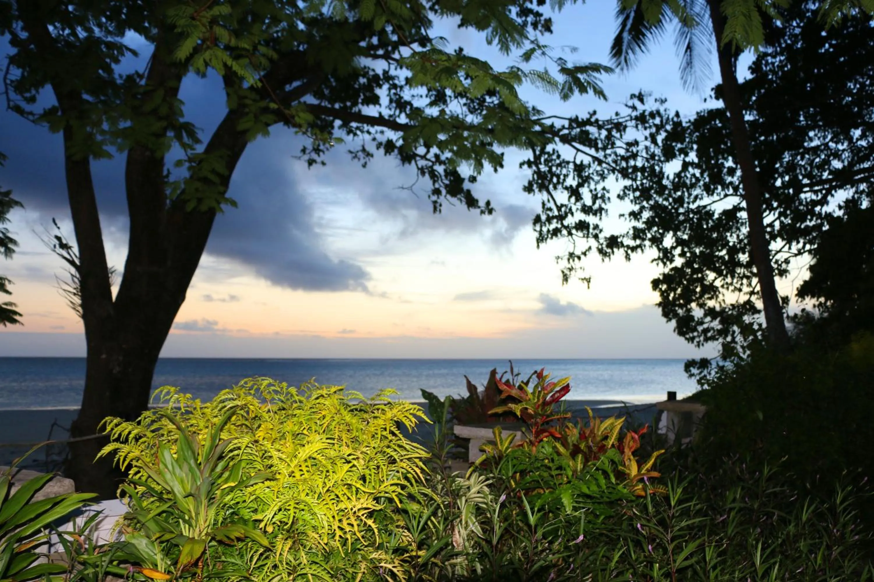 Garden in Wellesley Resort Fiji