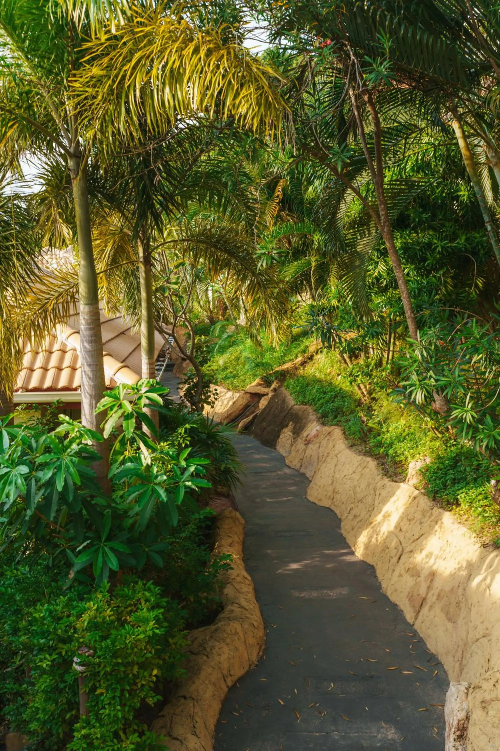 Garden in Pinnacle Koh Tao Resort